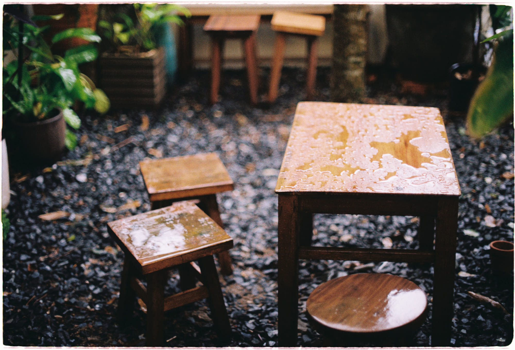 Freud và Đức Phật tranh luận về ham muốn