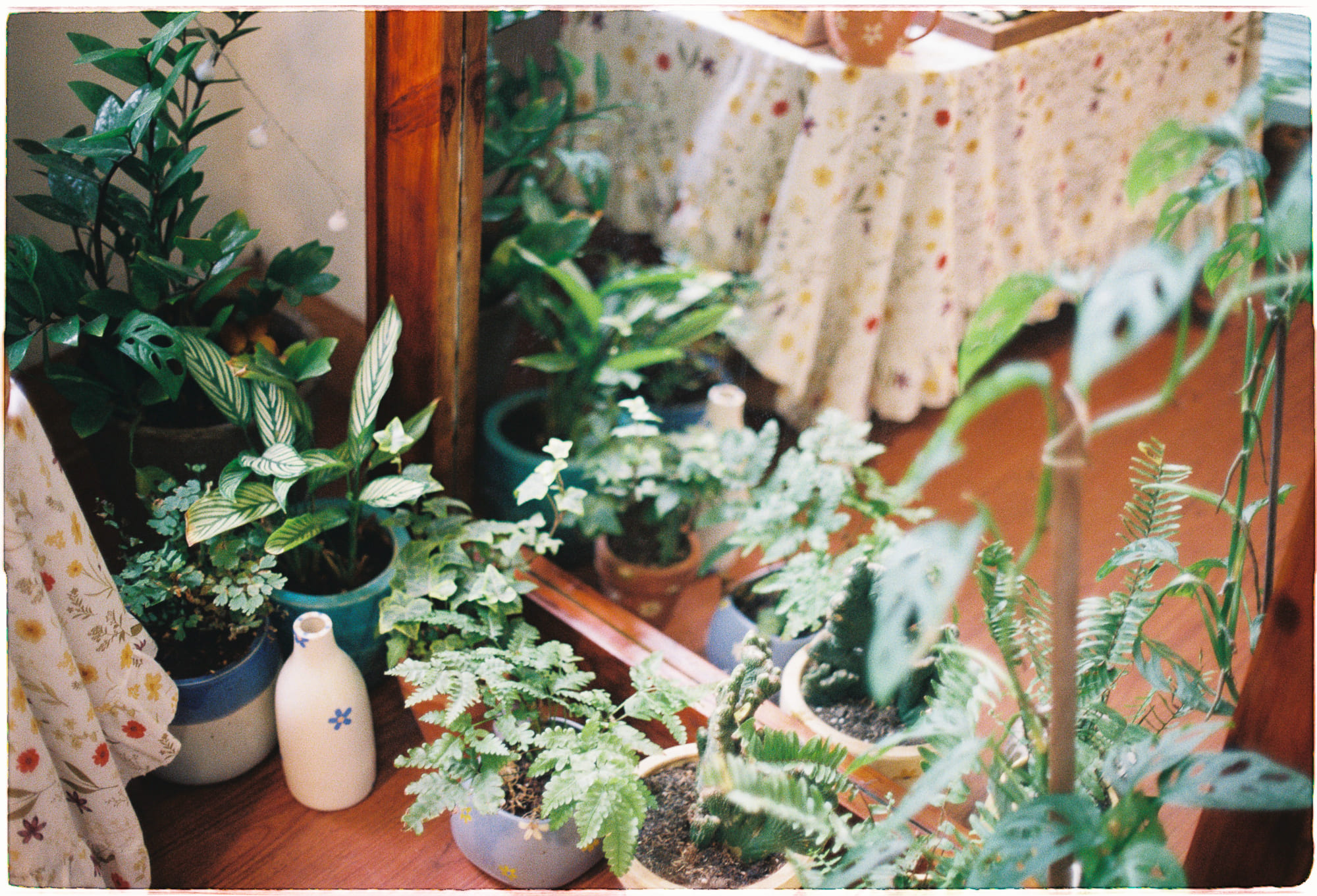 Công nghệ thất bại trong tái tạo dịch vụ tự nhiên