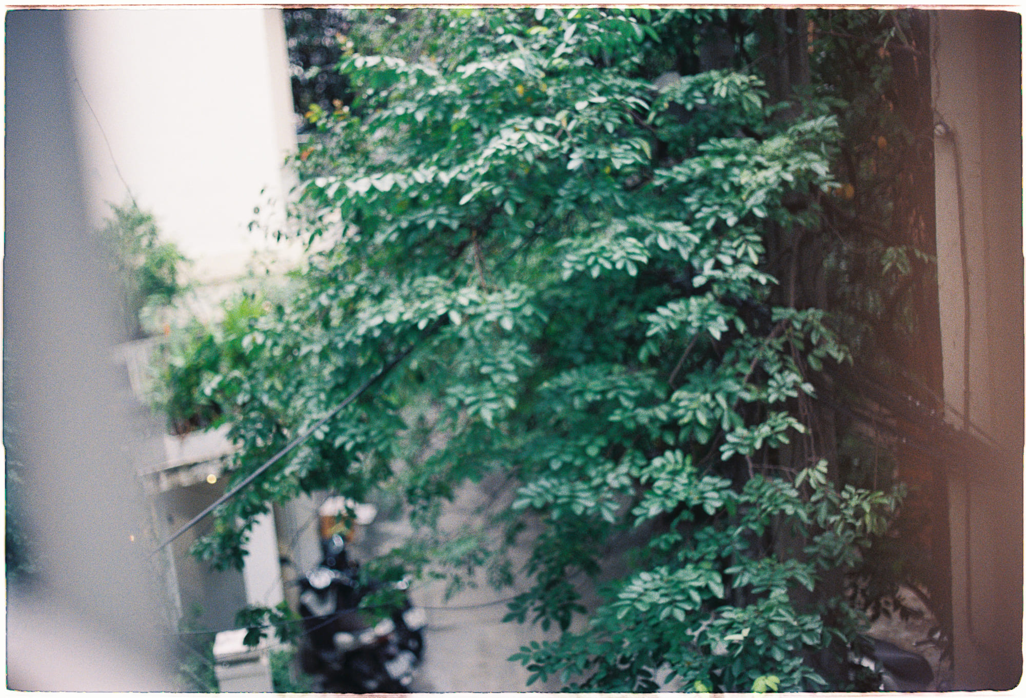 Trung tâm phát triển văn hóa đọc Nhà văn