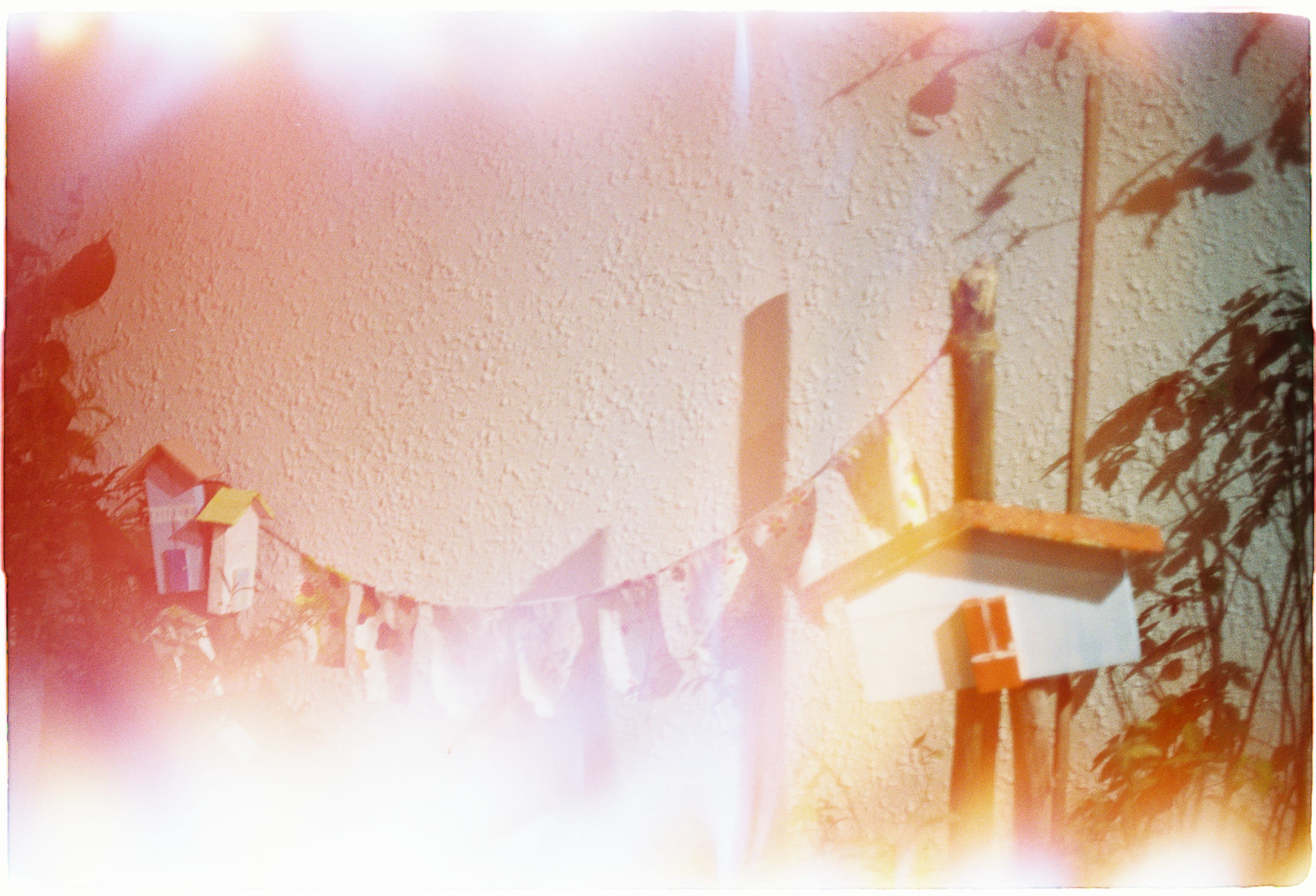 Tại sao con người tiến hóa tóc xoăn trên da đầu?