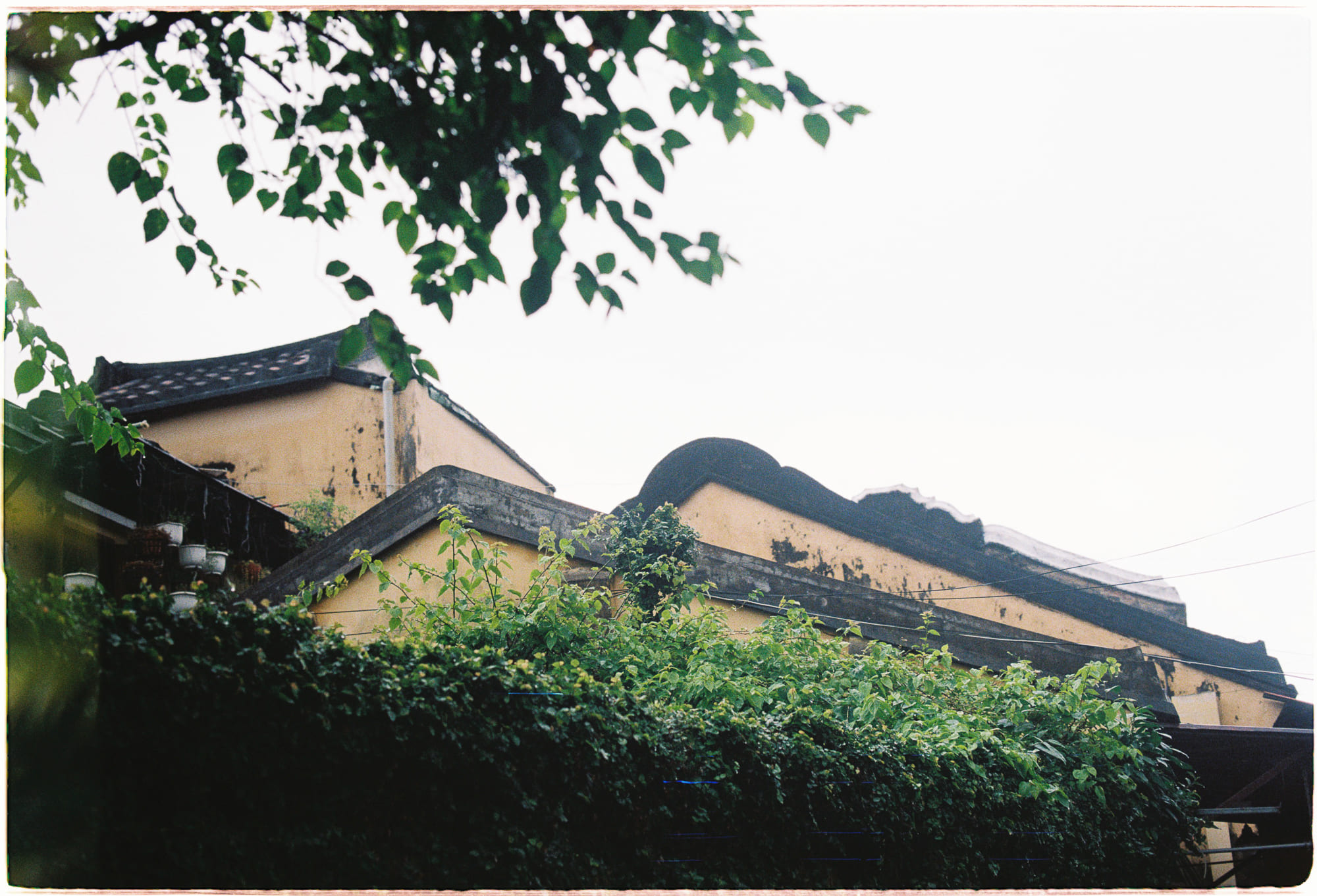 Nông nghiệp hữu cơ ảnh hưởng tiêu cực môi trường 807 – khoa hoc, nong nghiep, nong nghiep huu co, bien doi khi hau, anh huong moi truong, carbon, trai dat, xam hai moi truong, bao ve trai dat.