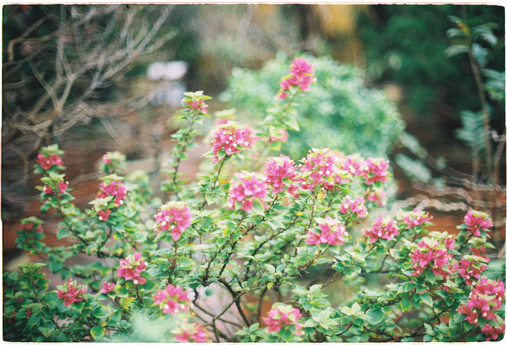 Danh sách theo thẻ bài kien-thuc-ton-giao, trang 2