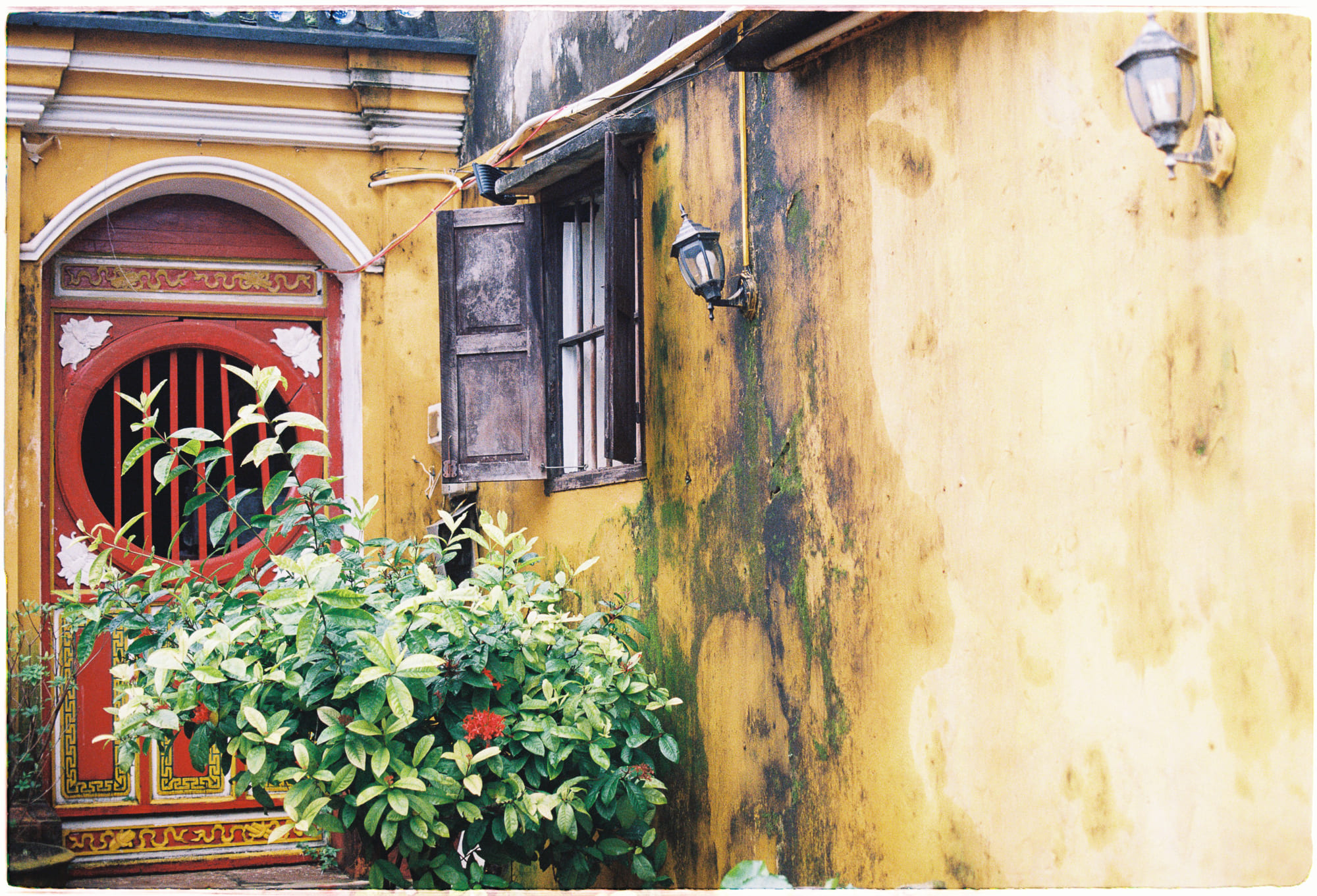 Holocaust trong tâm lý và văn hóa của các thế hệ hậu Shoah