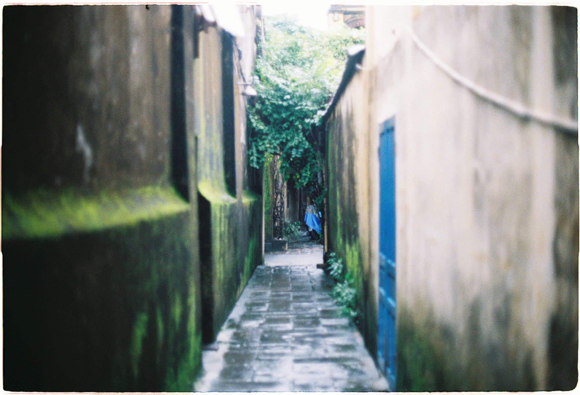 Tại sao xu hướng lão hóa ở đầu nhanh hơn ở chân?