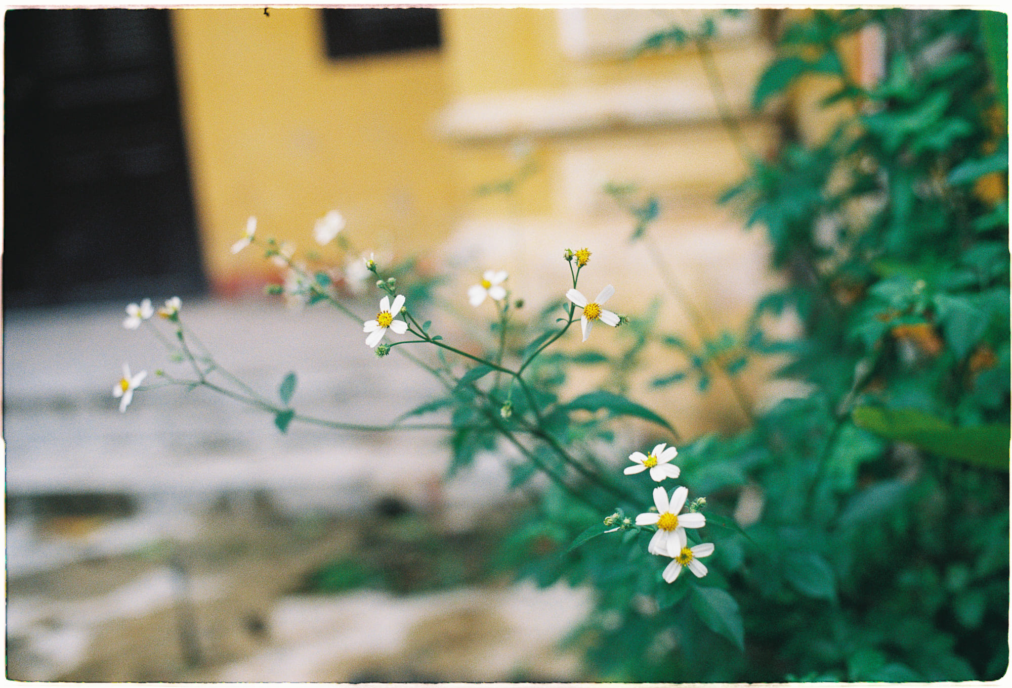 Không thất bại, không có cuộc sống trọn vẹn