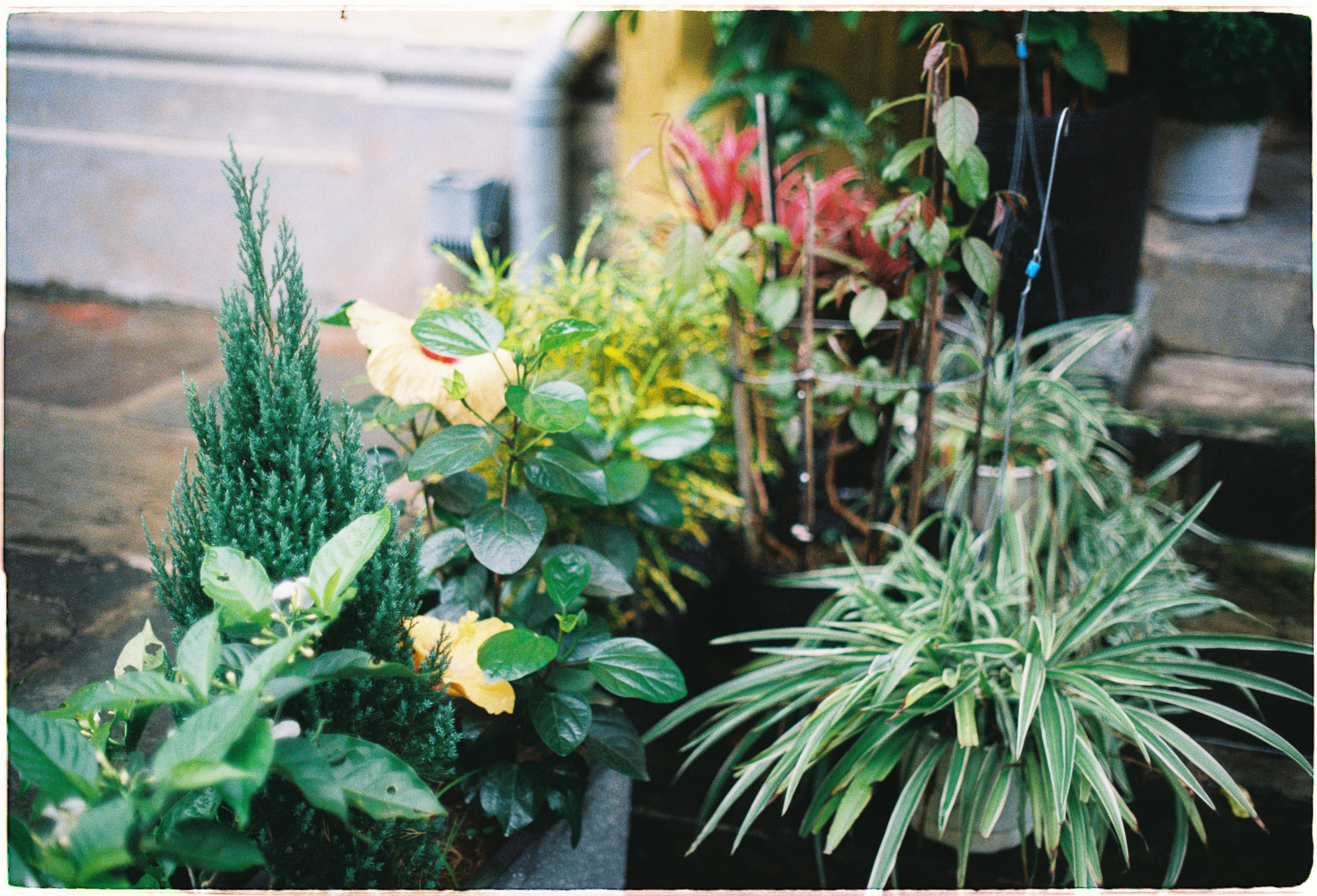 Sự thật có mang tính tương đối không? Sự thật có mang tính tương đối không? 117 – tam ly hoc, triet hoc, true to life, why truth matters, michael p lynch, su that tuong doi.