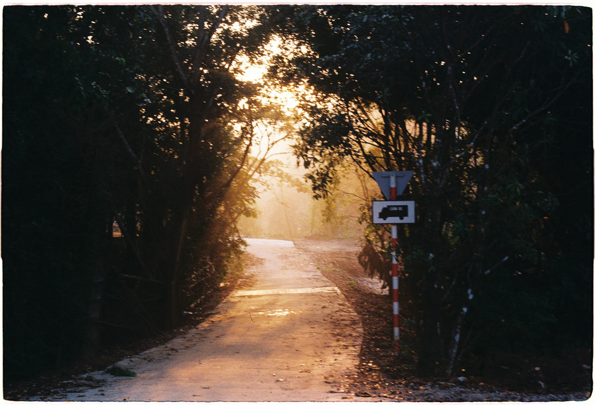 Trung tâm phát triển văn hóa đọc Nhà văn