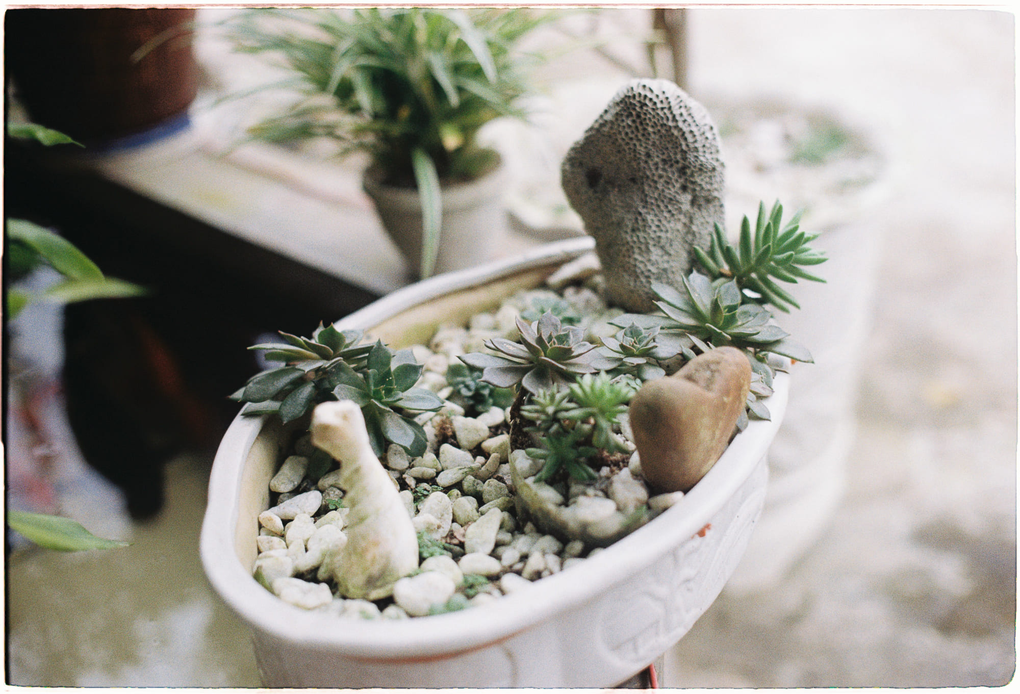 Thảm họa hùng vĩ