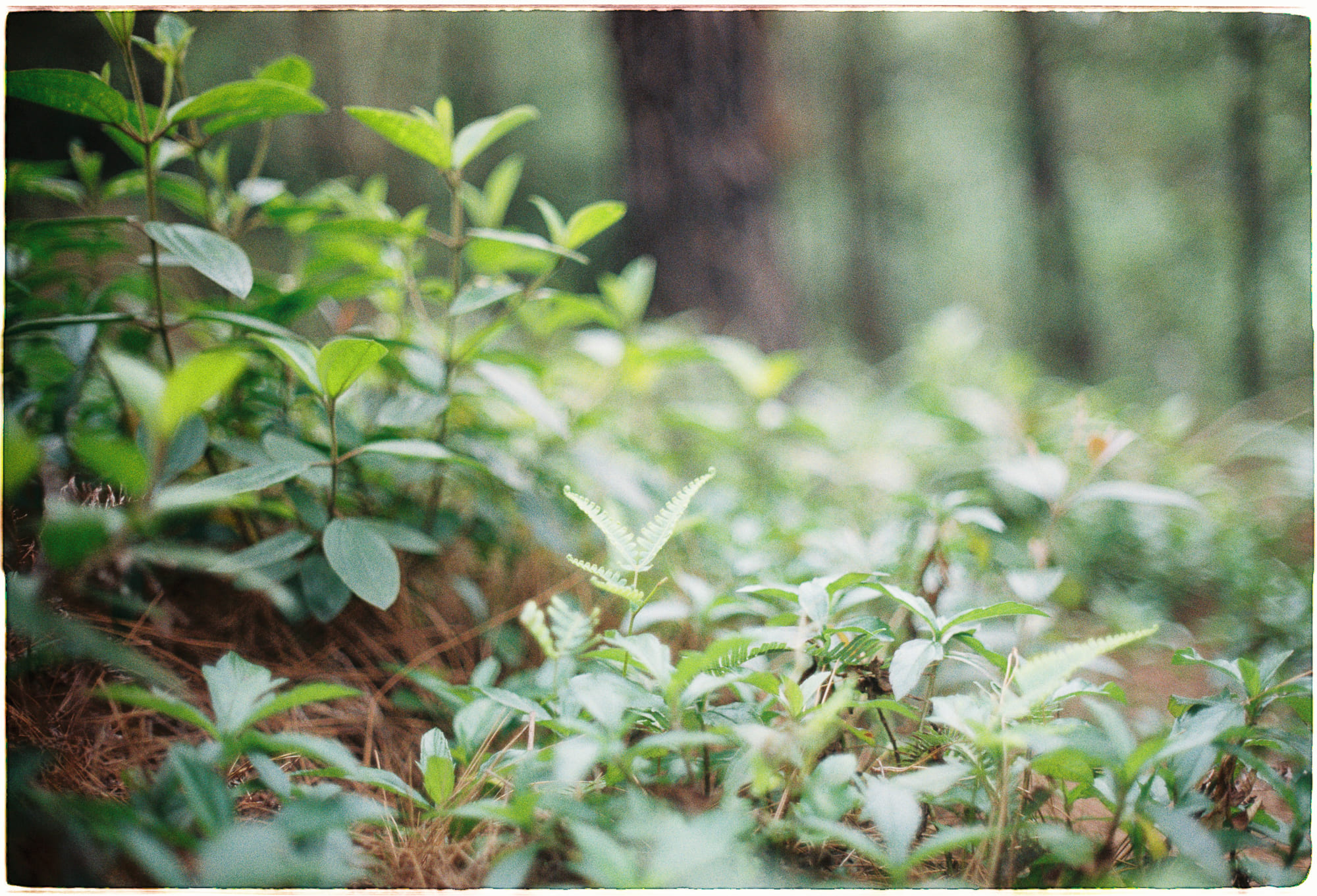 10 khám phá về vũ trụ giãn nở từ Nobel