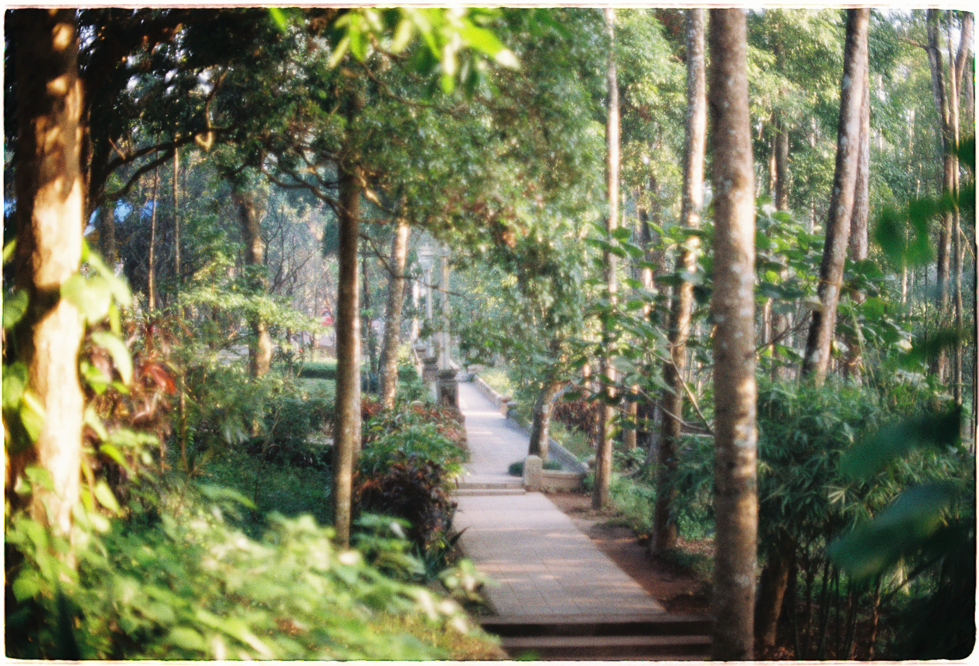 Lợi ích của liệu pháp thiên nhiên