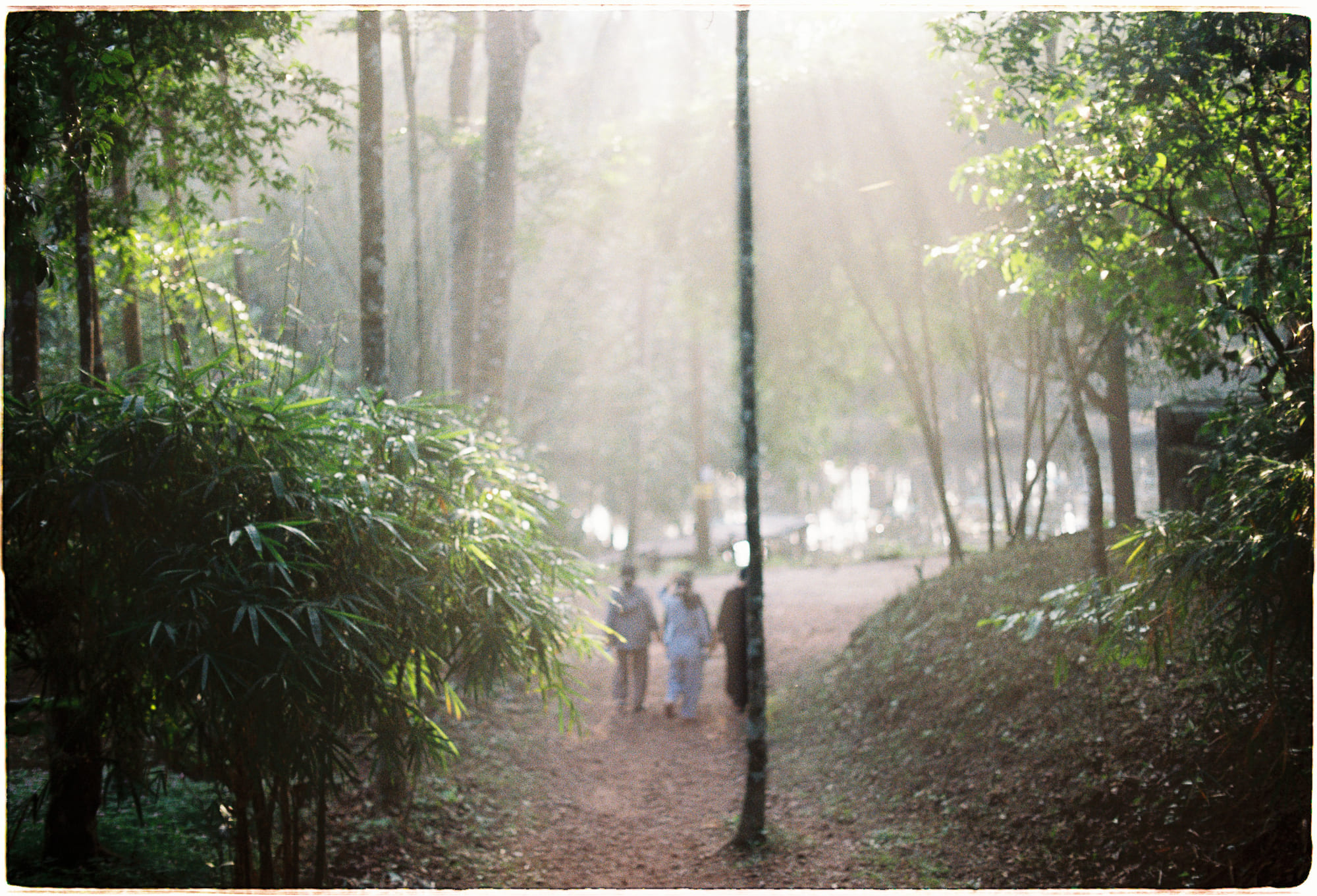 Sinh vật trong lòng đất vượt xa số người