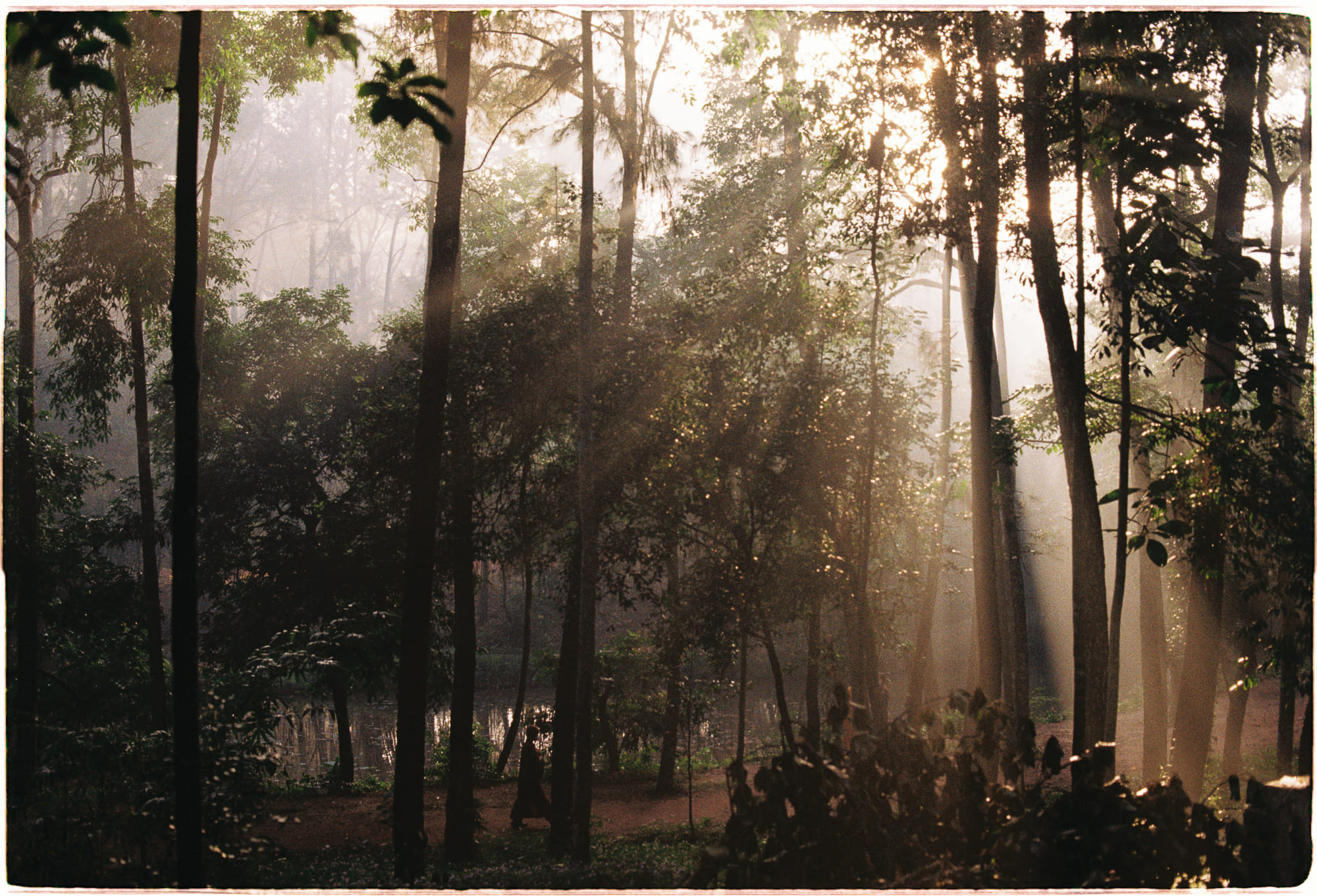 Các nhạc công đã khóa chặt nhịp điệu như thế nào?