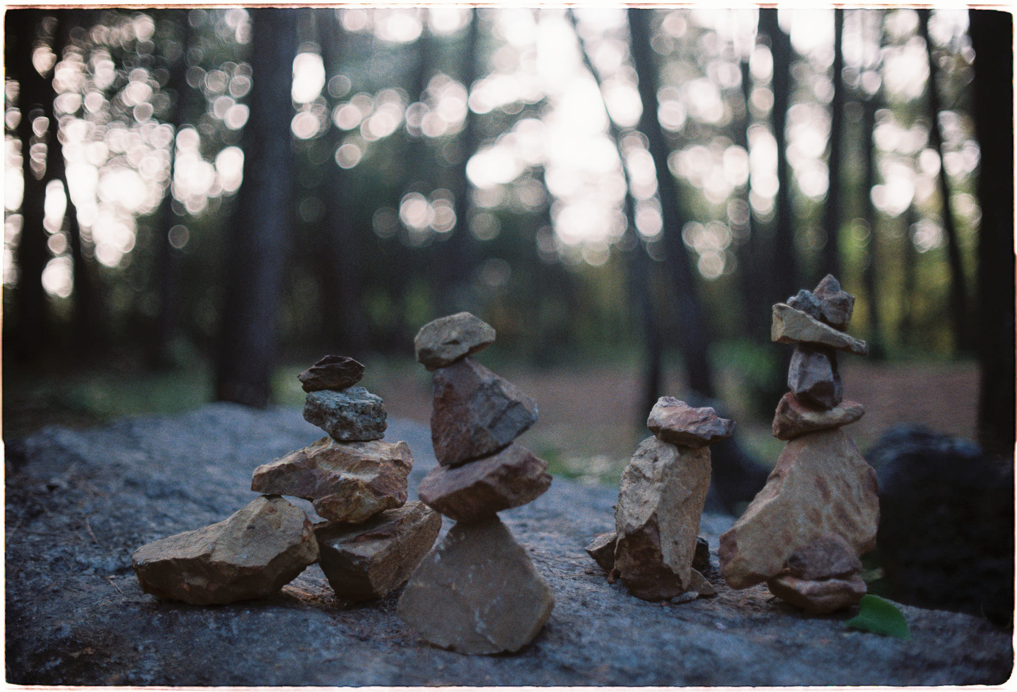 Bản năng bộ lạc cổ đại đằng sau văn hóa của con người