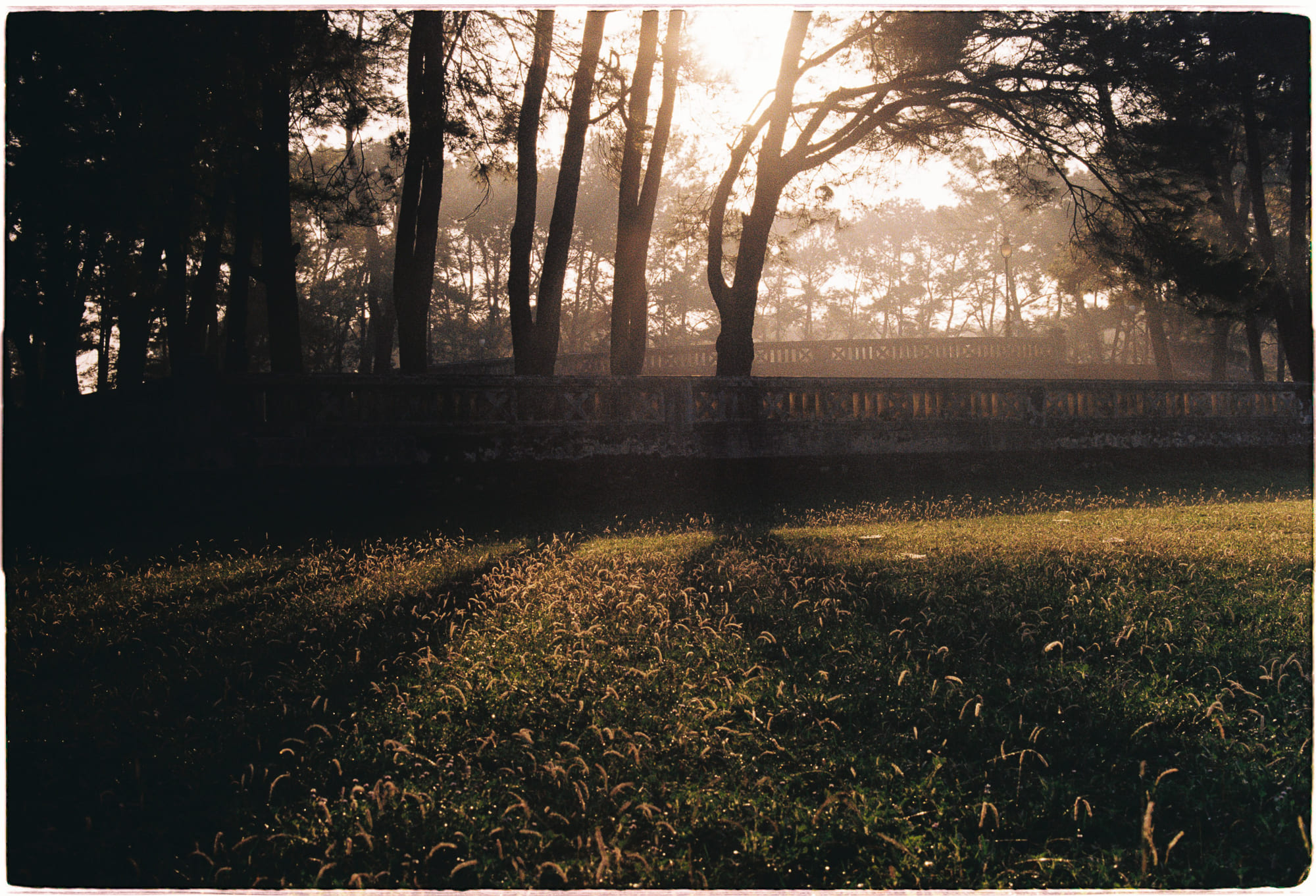 Thương mại hóa cơ thể và sản xuất sự bất hài lòng của chuẩn mực thẩm mỹ đương đại