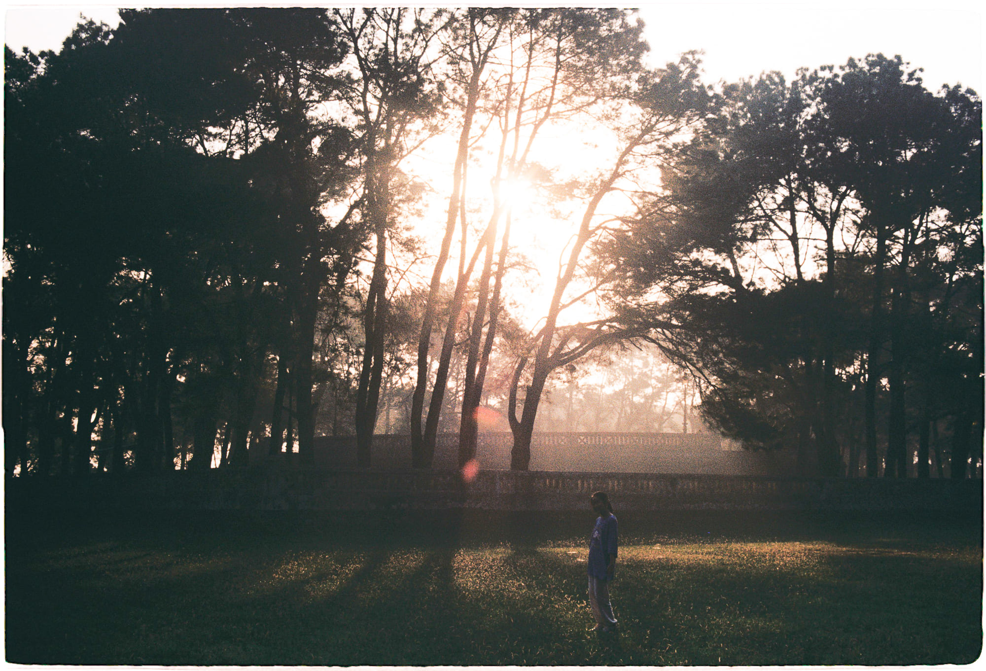 Điều khiến mọi người hiểu sai về Carpe diem là gì?