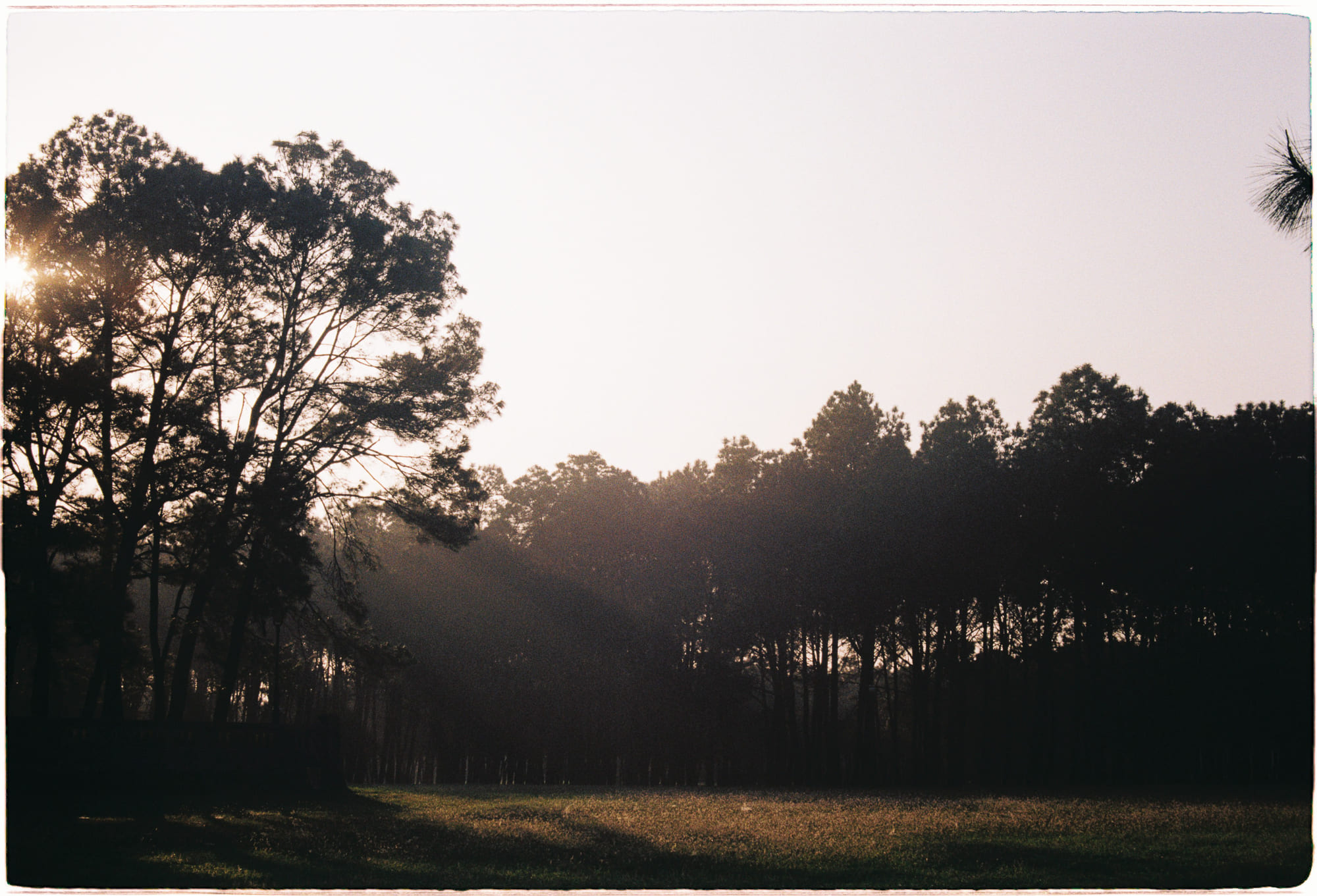 Đối mặt với cô đơn trong dịch bệnh