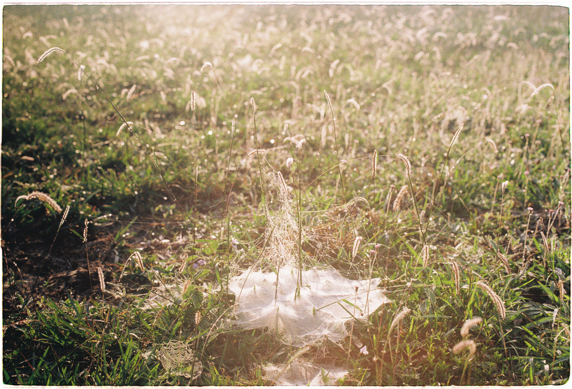 Quyền lực, im lặng có hệ thống và những vùng trắng trong ký ức cộng đồng