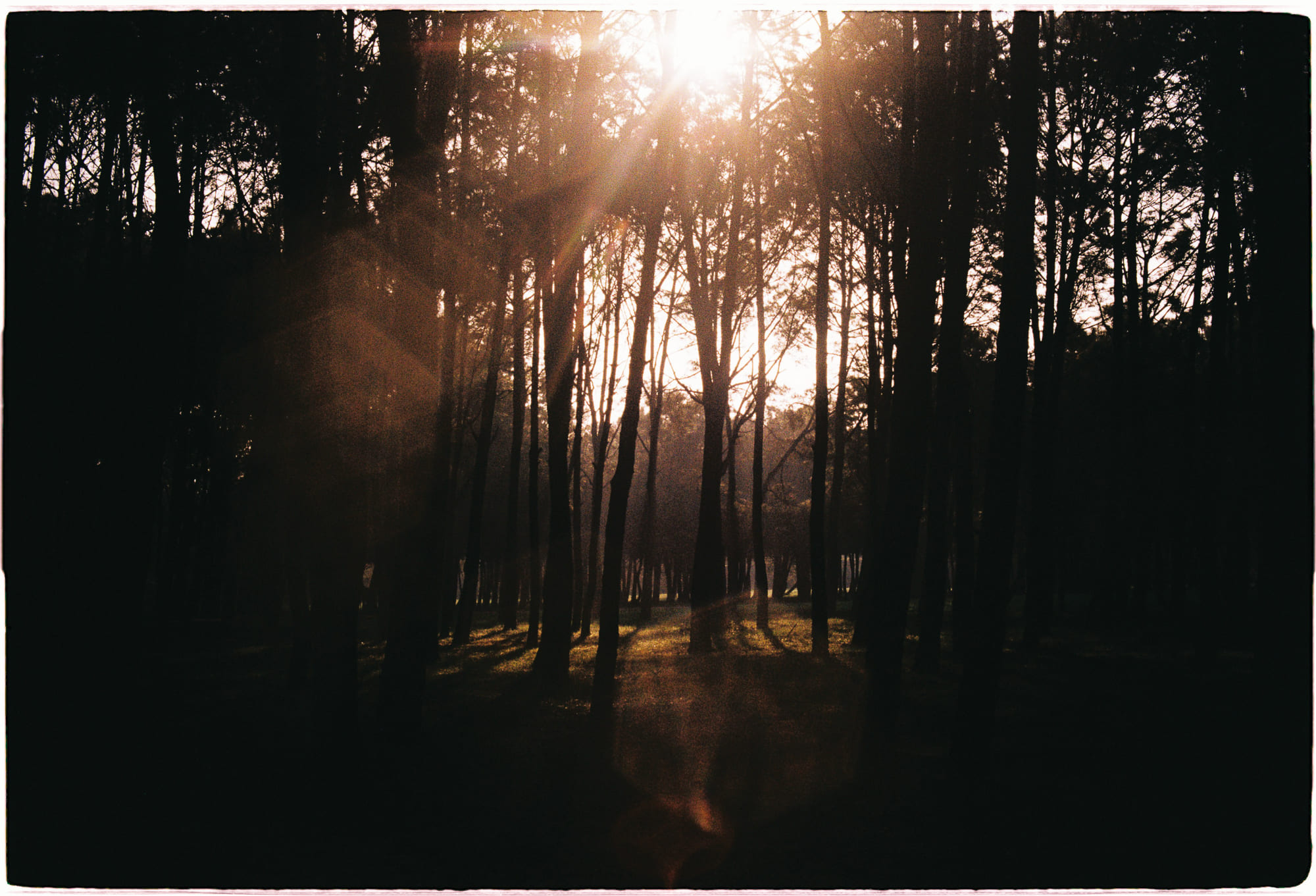 Trung tâm phát triển văn hóa đọc Nhà văn