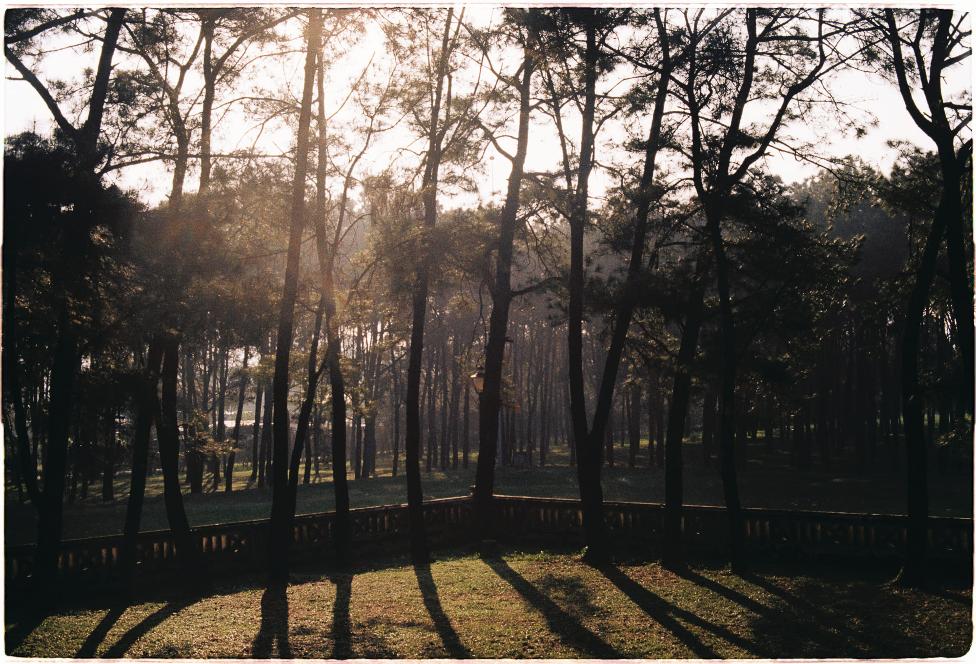 Trải nghiệm tâm linh số trong metaverse