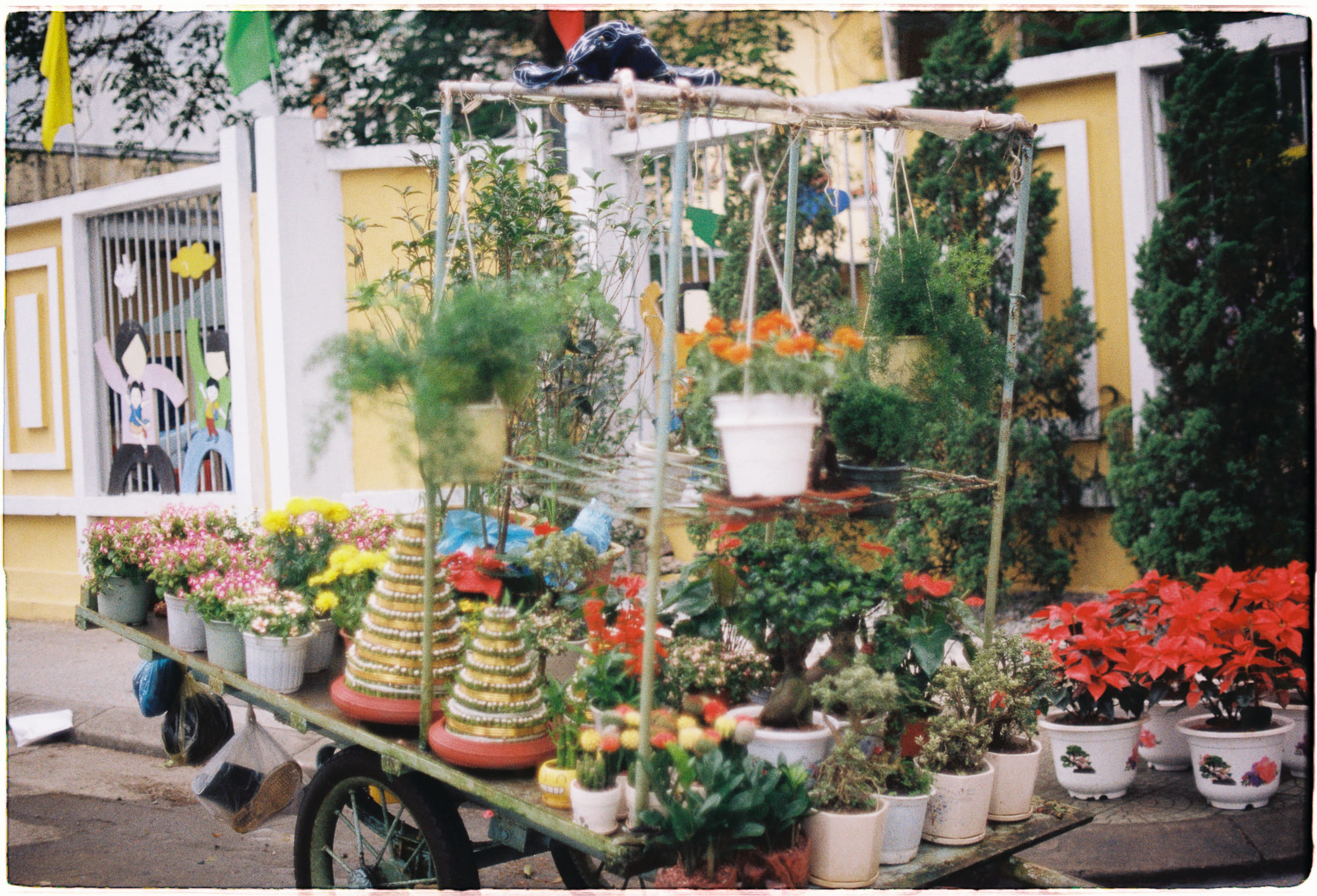 Vận tốc trí tuệ quan trọng hơn IQ thế kỷ XXI