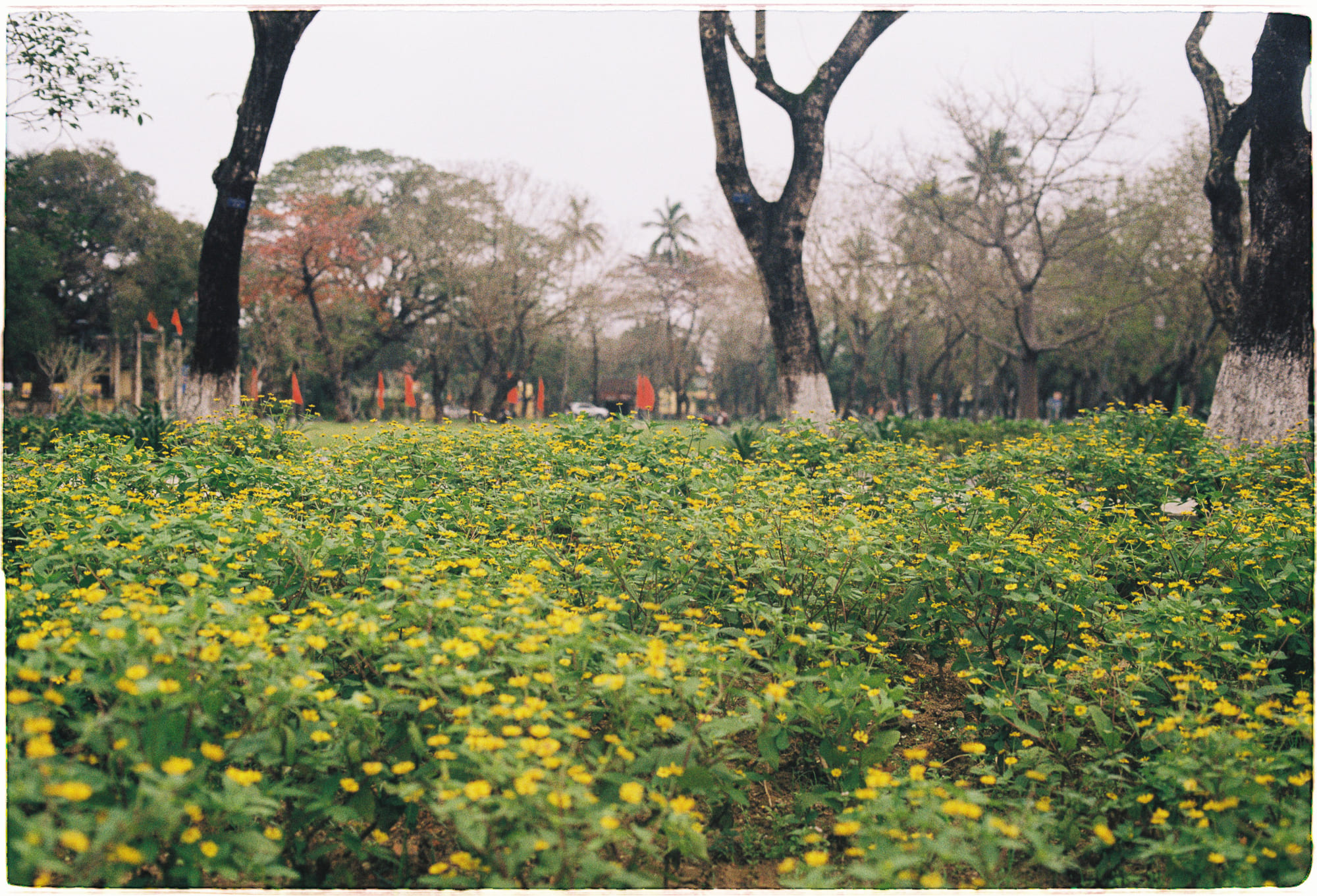 Trung tâm phát triển văn hóa đọc Nhà văn