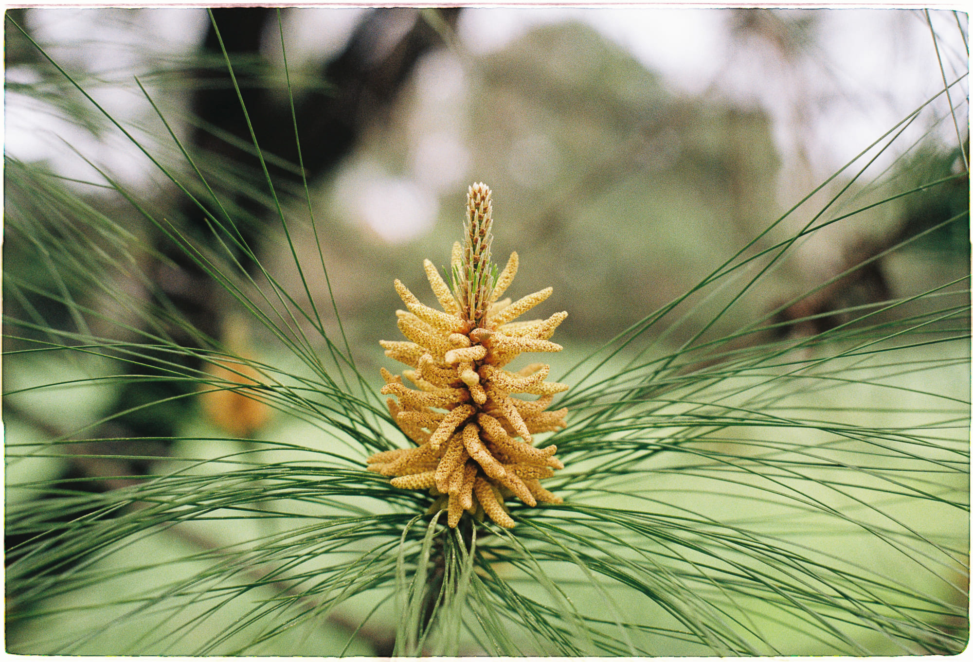 Trung tâm phát triển văn hóa đọc Nhà văn