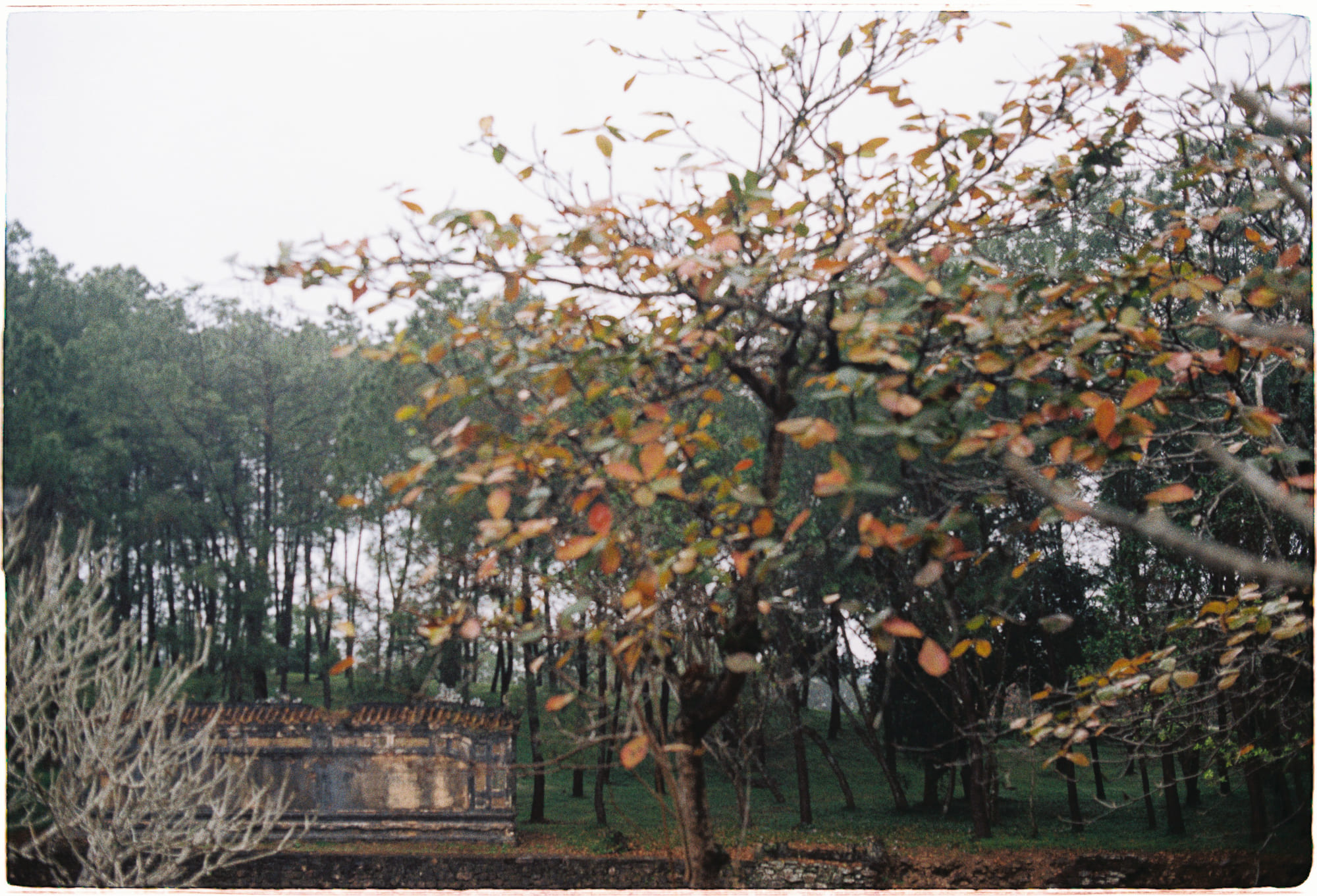 Trung tâm phát triển văn hóa đọc Nhà văn