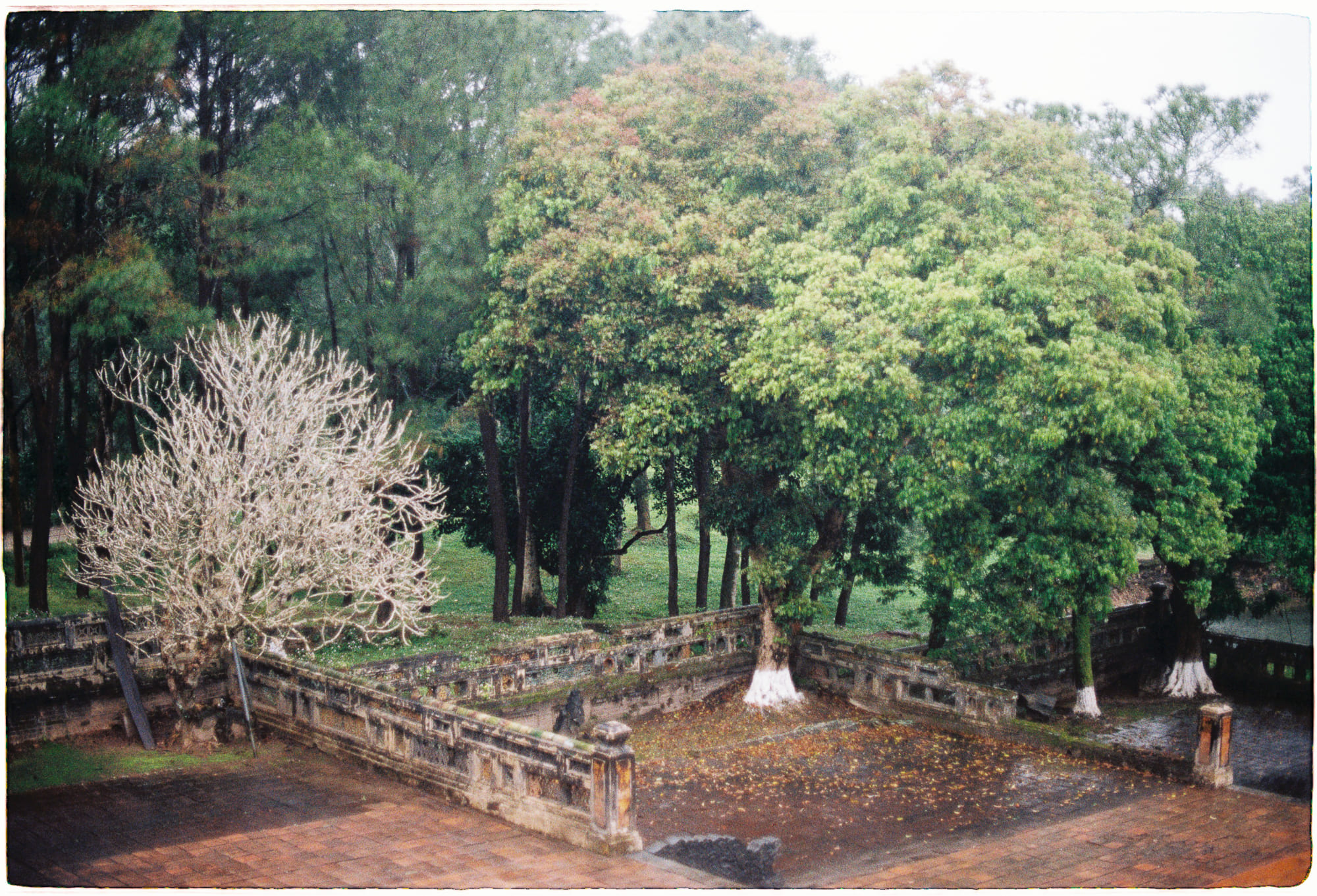 Tự chữa lành có phải là một nhu cầu sinh học?