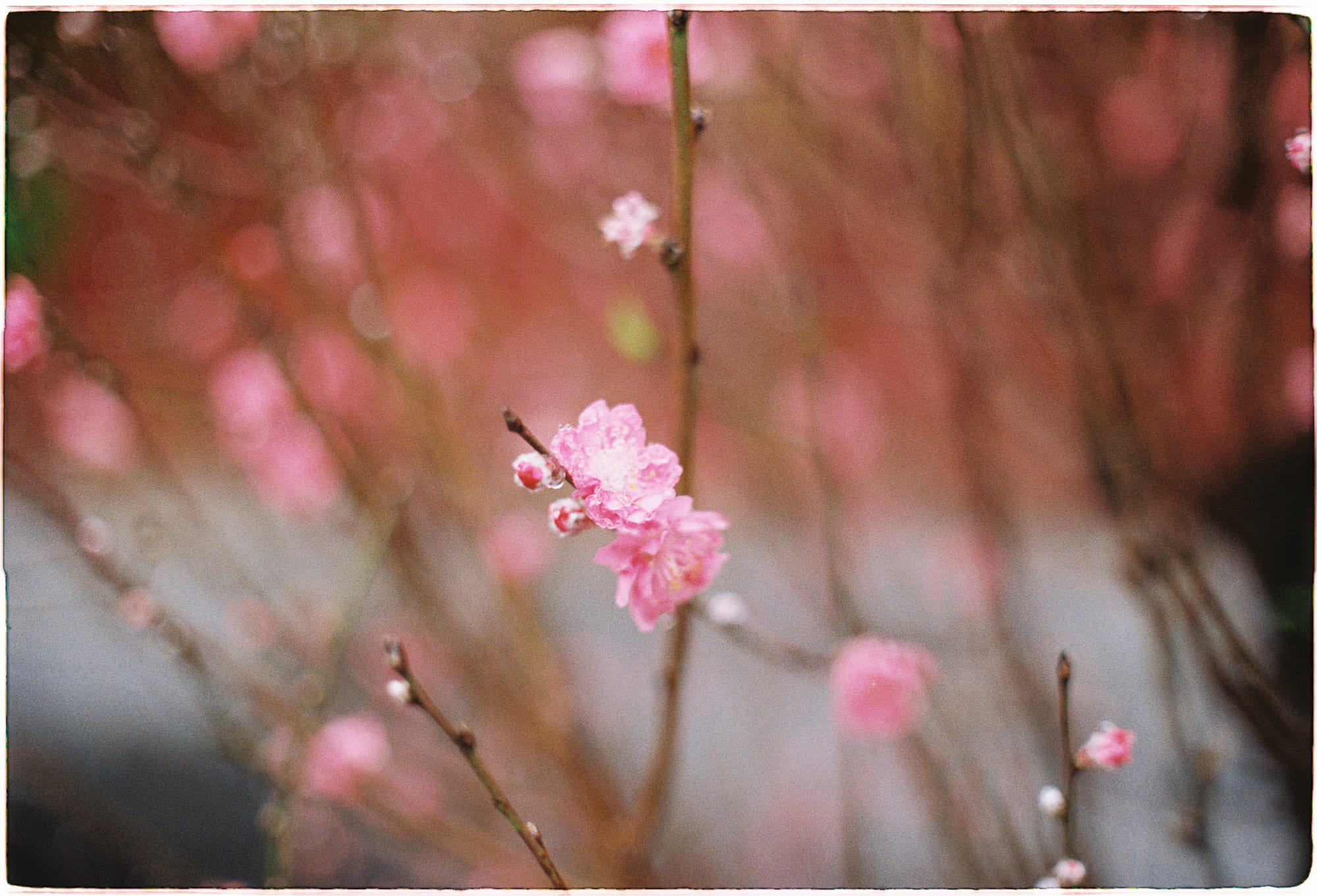 5 cách bầu trời đêm đánh lừa mắt thường 984 – khoa hoc, vu tru, vat ly thien van, bau troi dem, ao giac vu tru, ao giac troi dem, troi dem danh lua, vat ly hoc, thien van hoc.