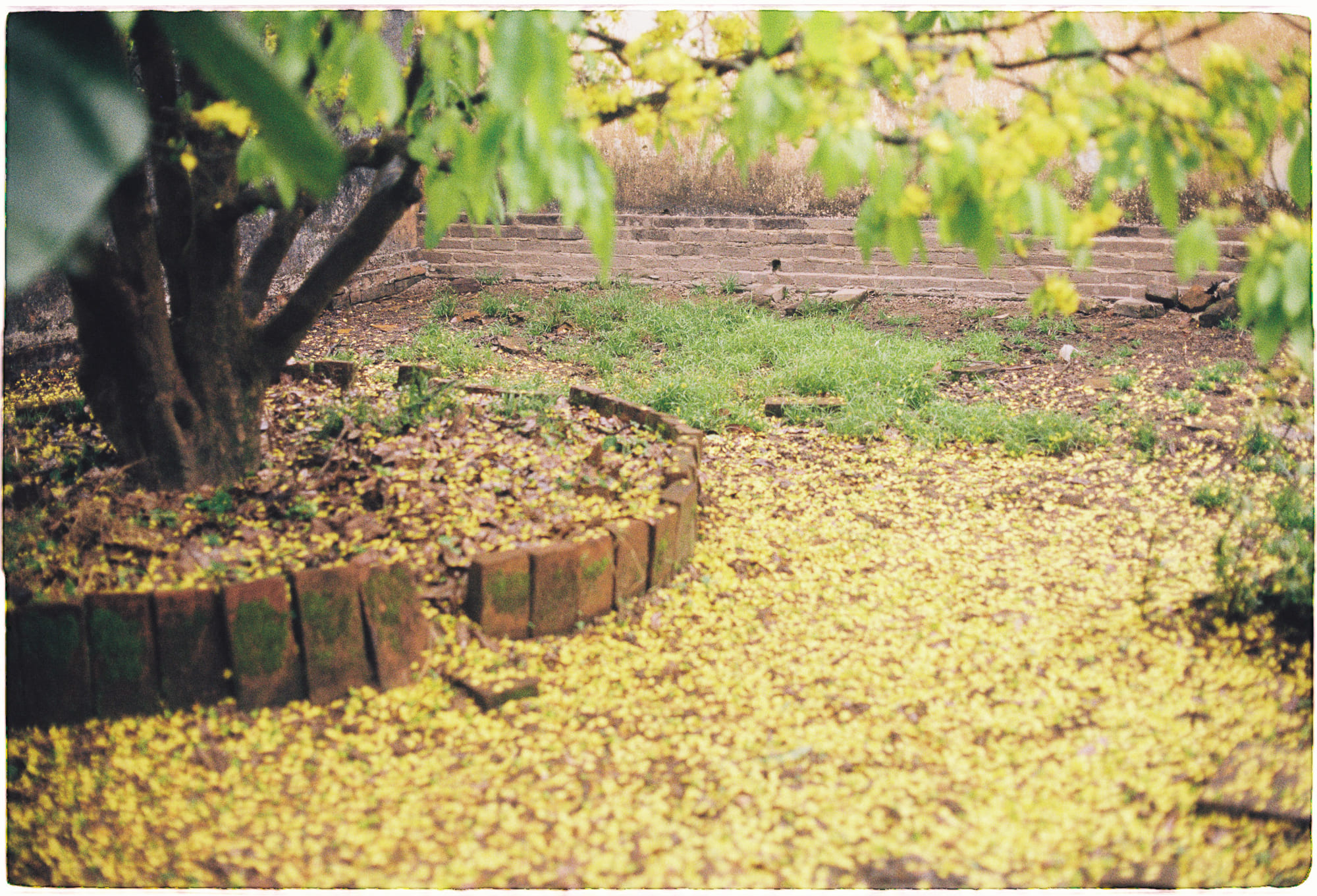 Trung tâm phát triển văn hóa đọc Nhà văn