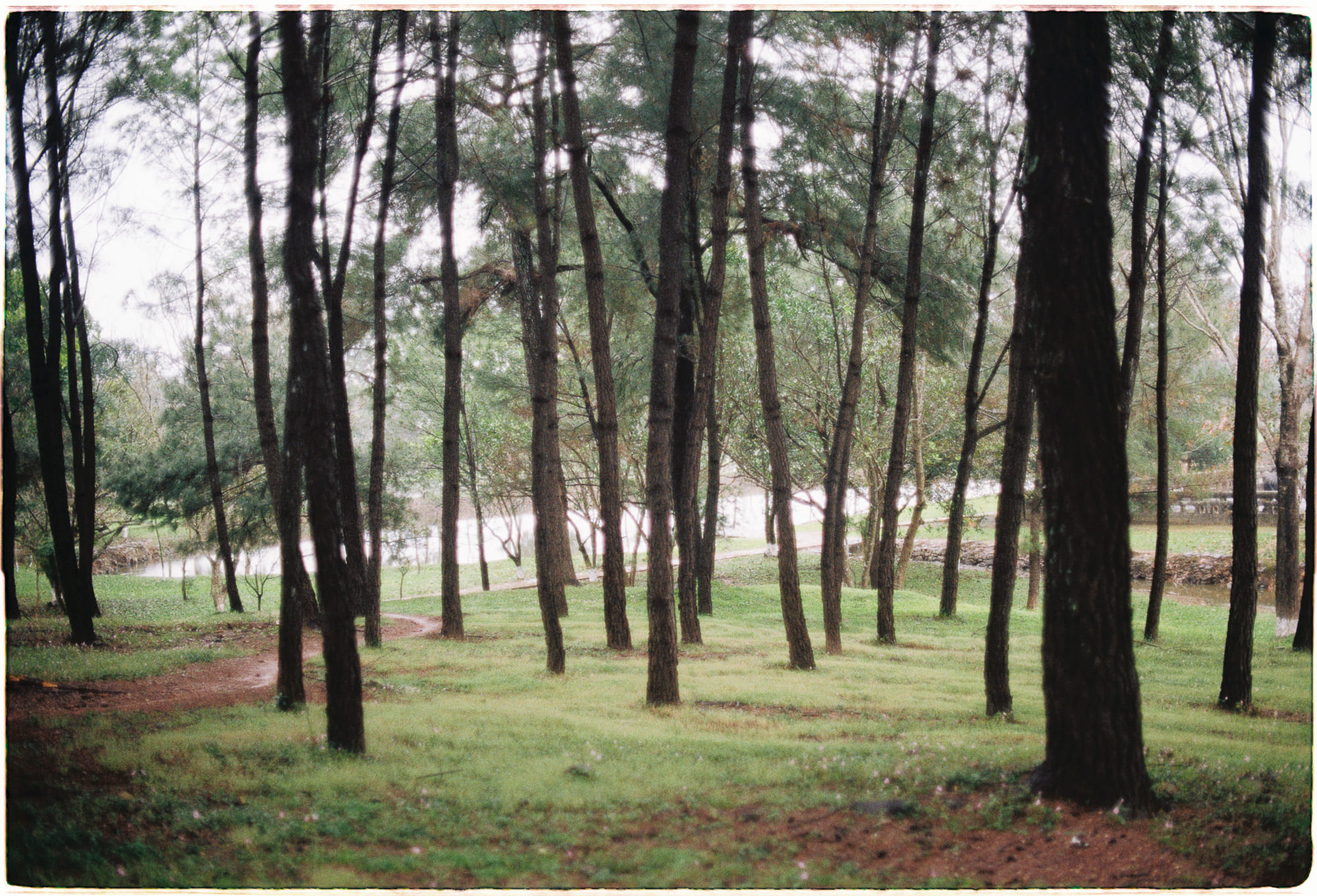 Trung tâm phát triển văn hóa đọc Nhà văn