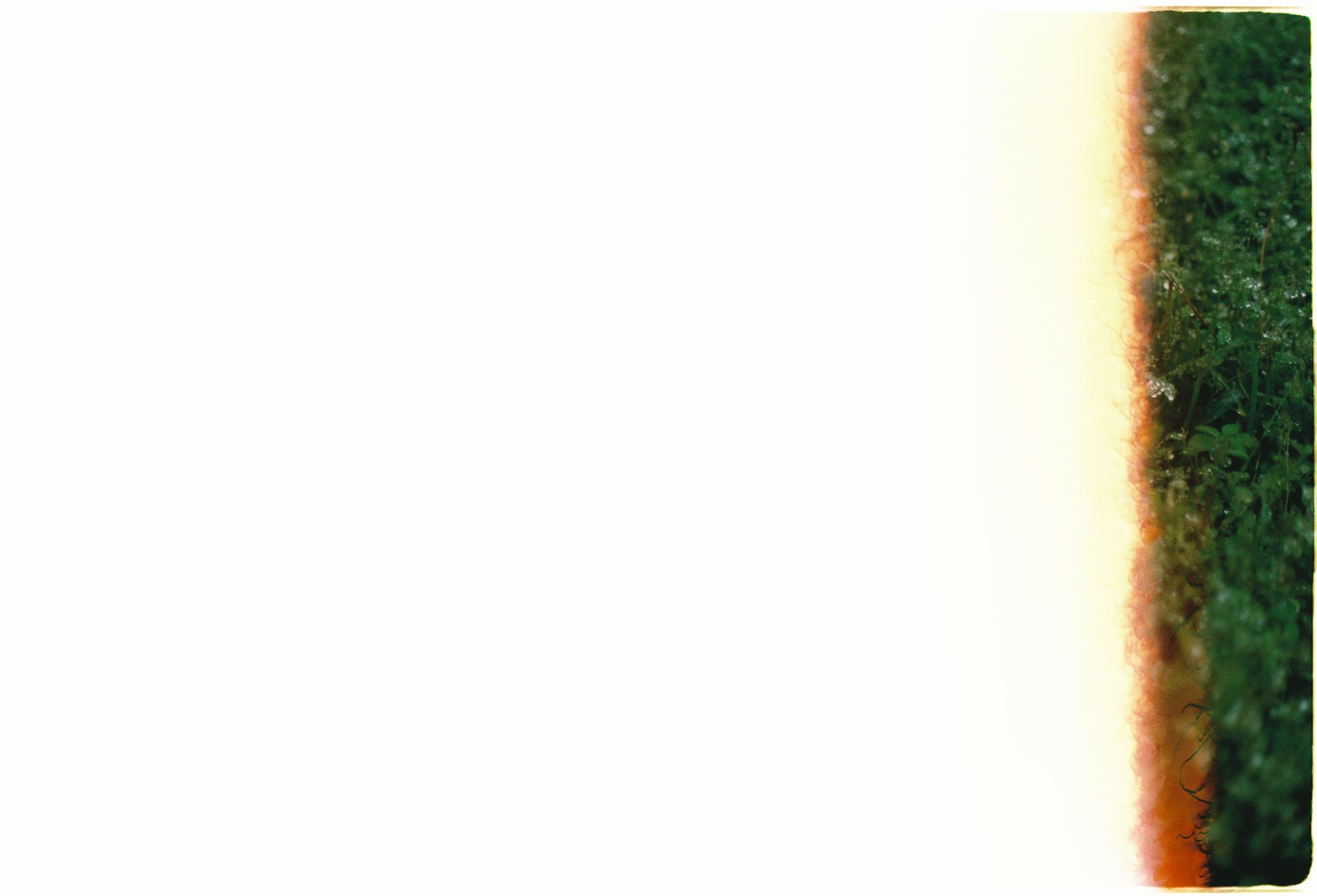 Chữa lành người khác là chữa lành bản thân