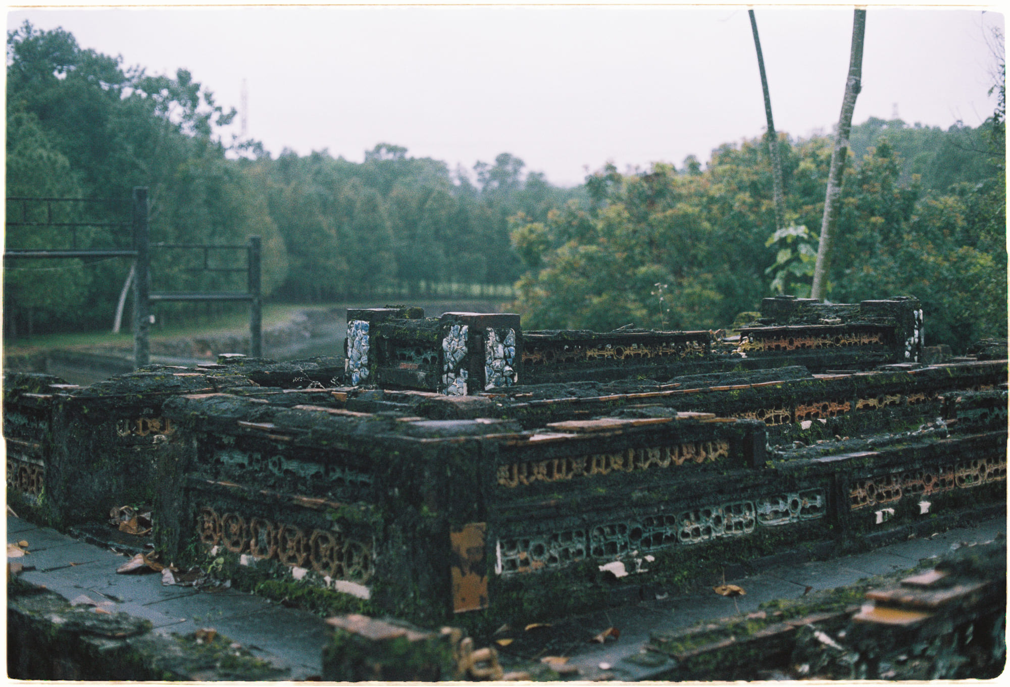 Thực vật dạy về nỗi khổ của con người