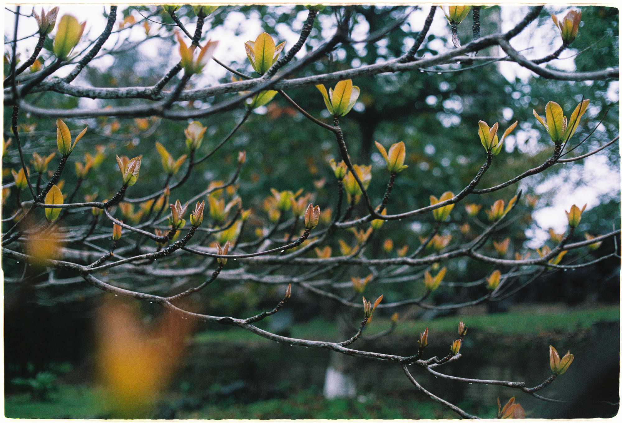 Giá trị lớn nhất của sự trường thọ