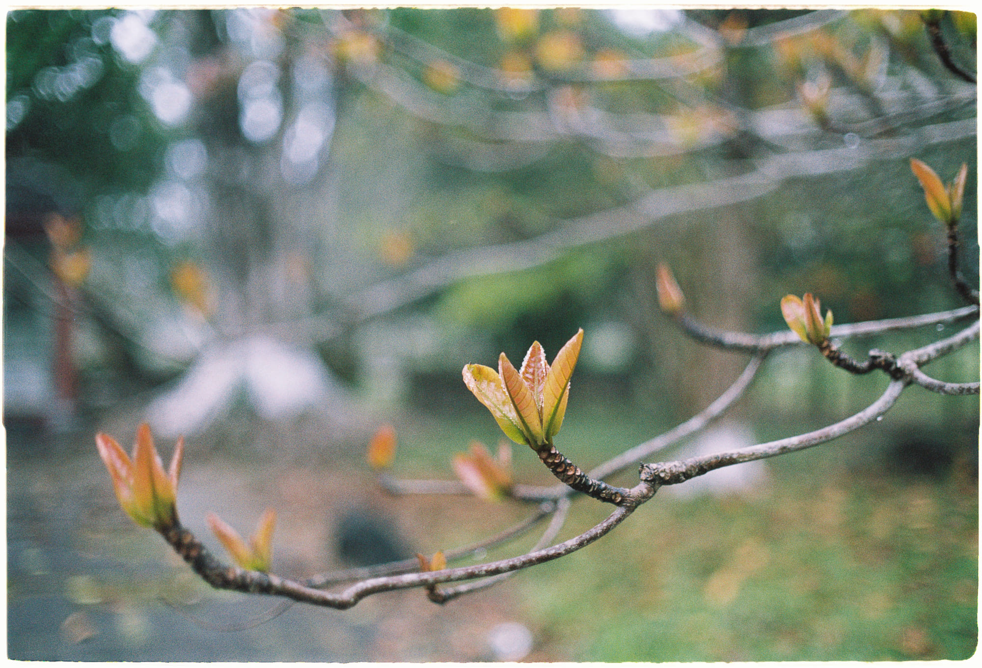 Danh sách theo thẻ bài nghien-cuu-khoa-hoc