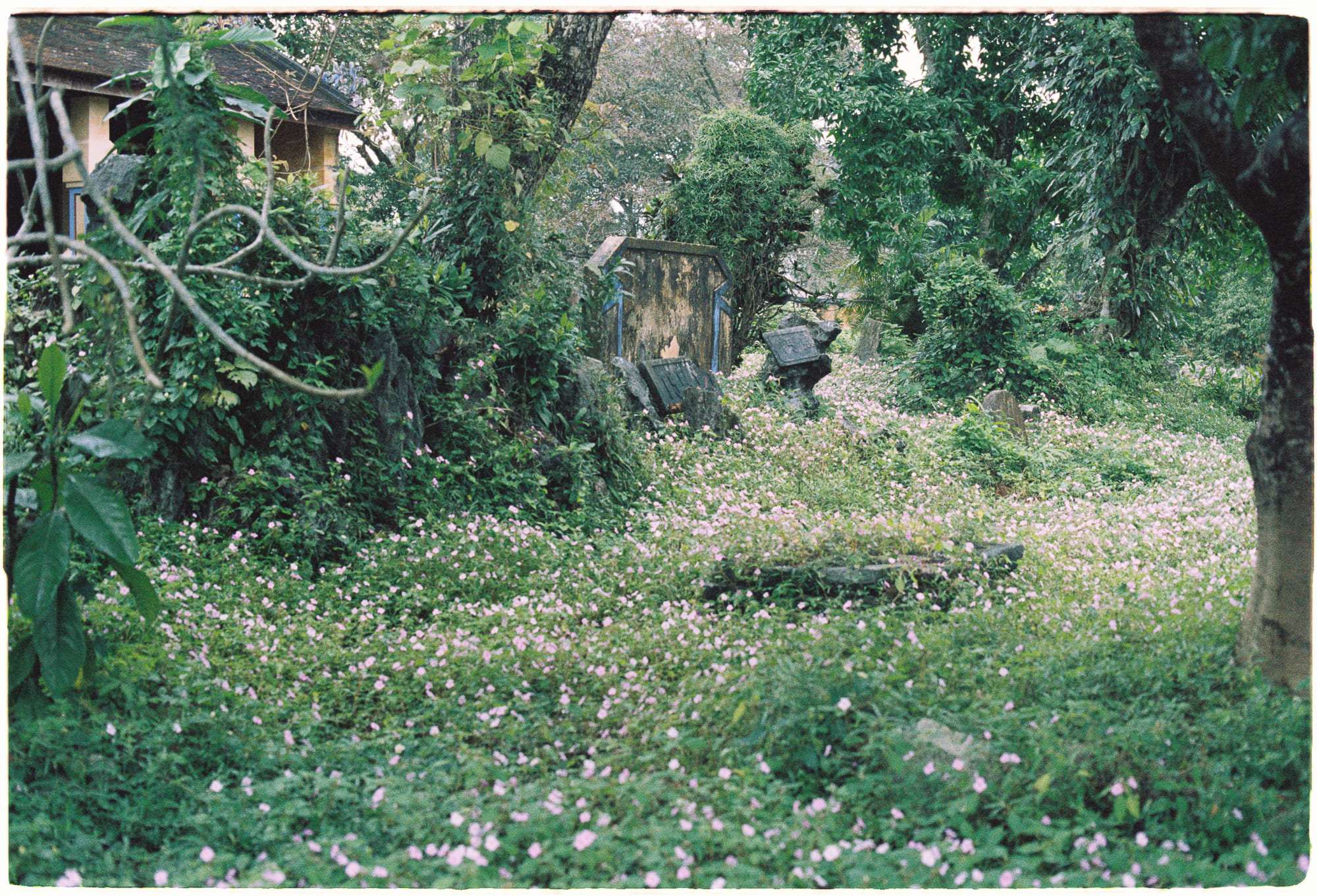 Đại dịch và chiến tranh đóng băng trong thời gian