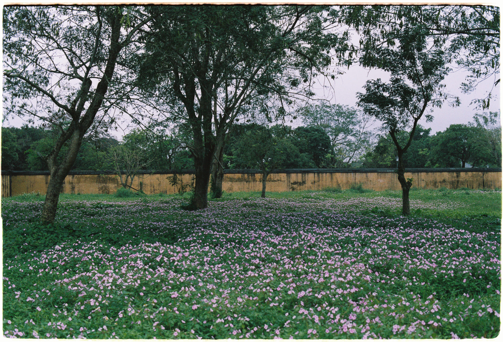 3 cách đồng cảm giúp làm việc năng suất hơn