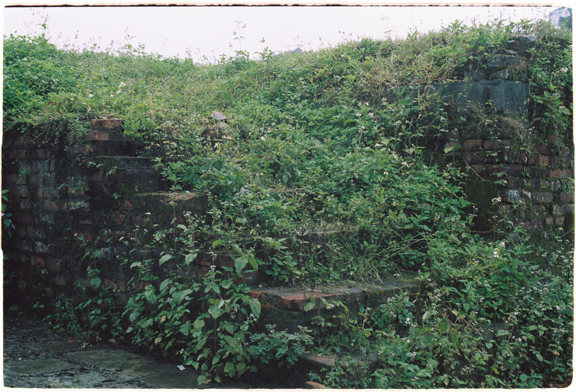 Quy luật ngôn ngữ áp dụng cho mọi sự sống