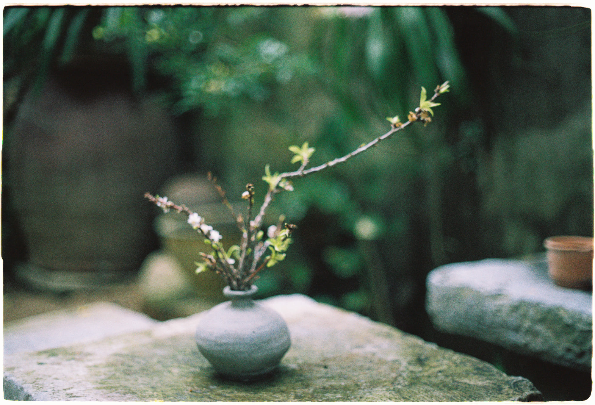 Cá ở trong nước