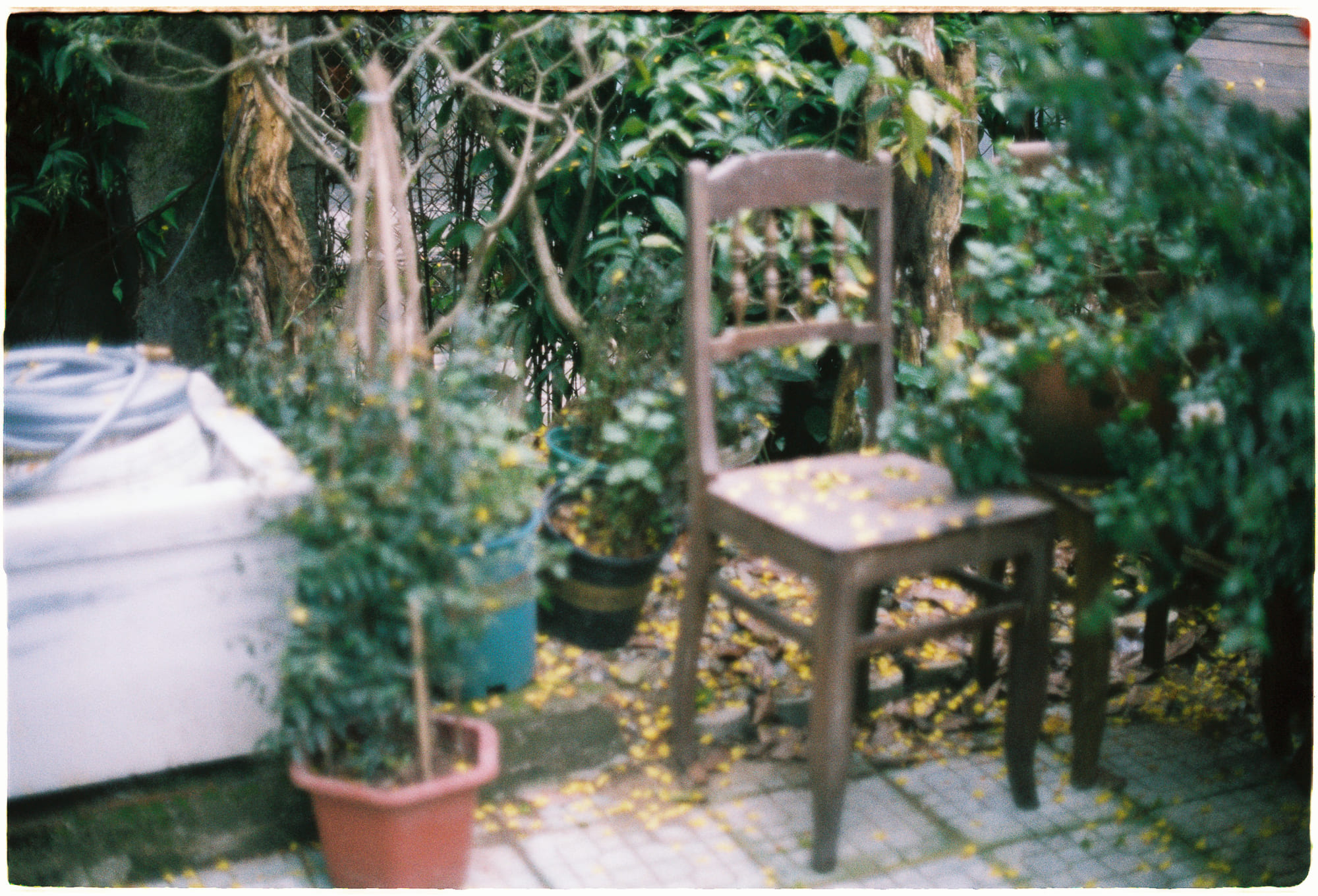 Diễn từ Nobel Văn học 1993 – Toni Morrison 232 – nobel, nobel van hoc, nobel van hoc 1993, toni morrison, dien tu nobel van hoc, dien tu nobel, dien tu nobel van hoc 1993, dien tu van hoc 1993.