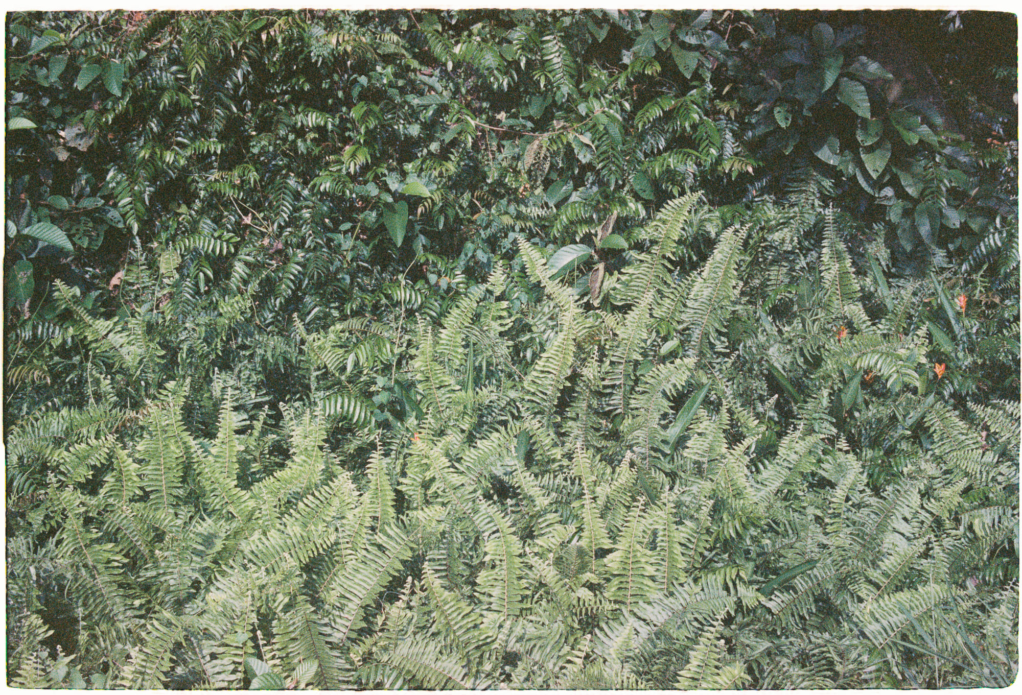 Ý nghĩa cuộc sống qua góc nhìn vũ trụ học