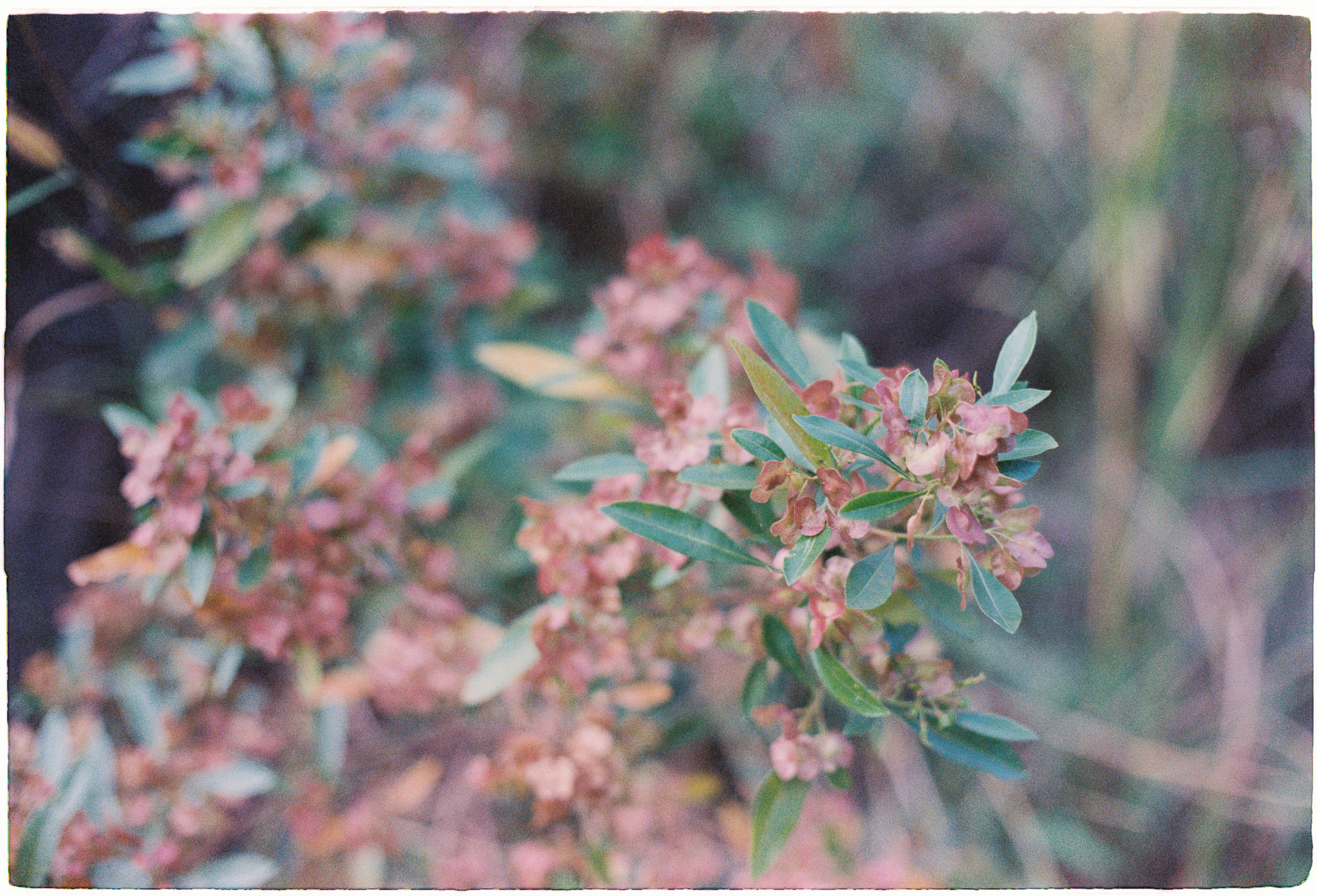 Bài học từ những cạm bẫy của các dự án siêu lớn