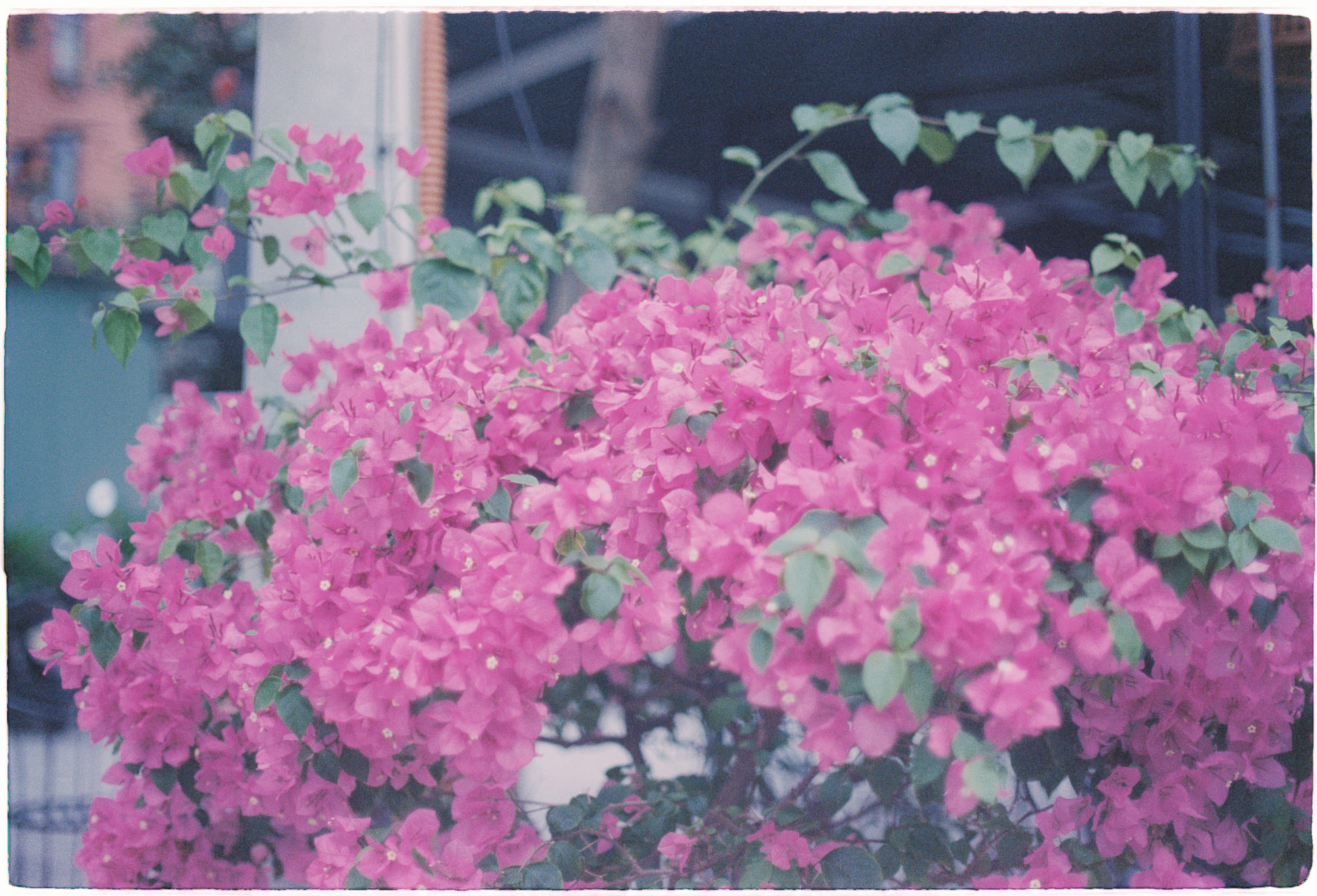 Tuyển tập viết văn năm 2018