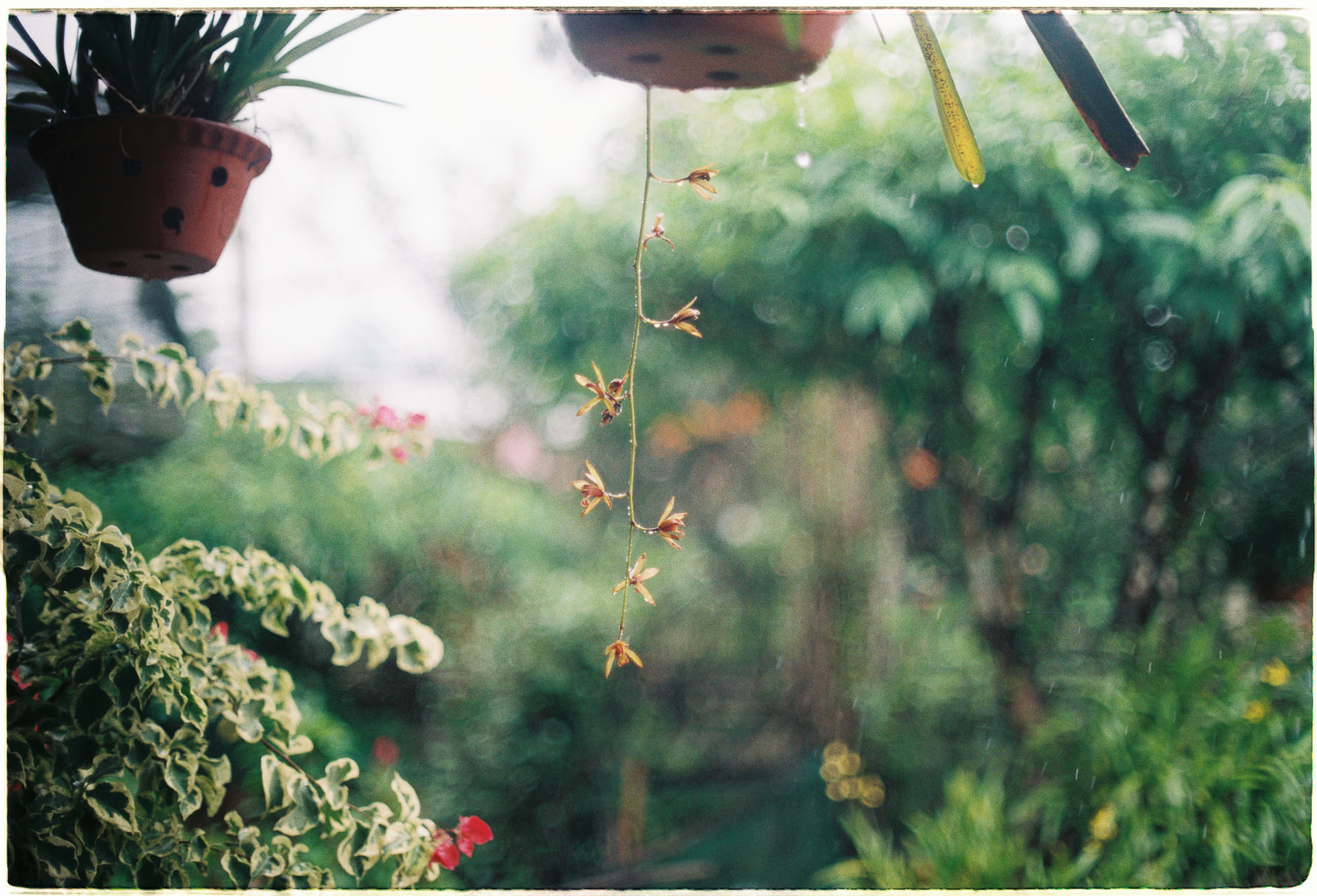 Trung tâm phát triển văn hóa đọc Nhà văn