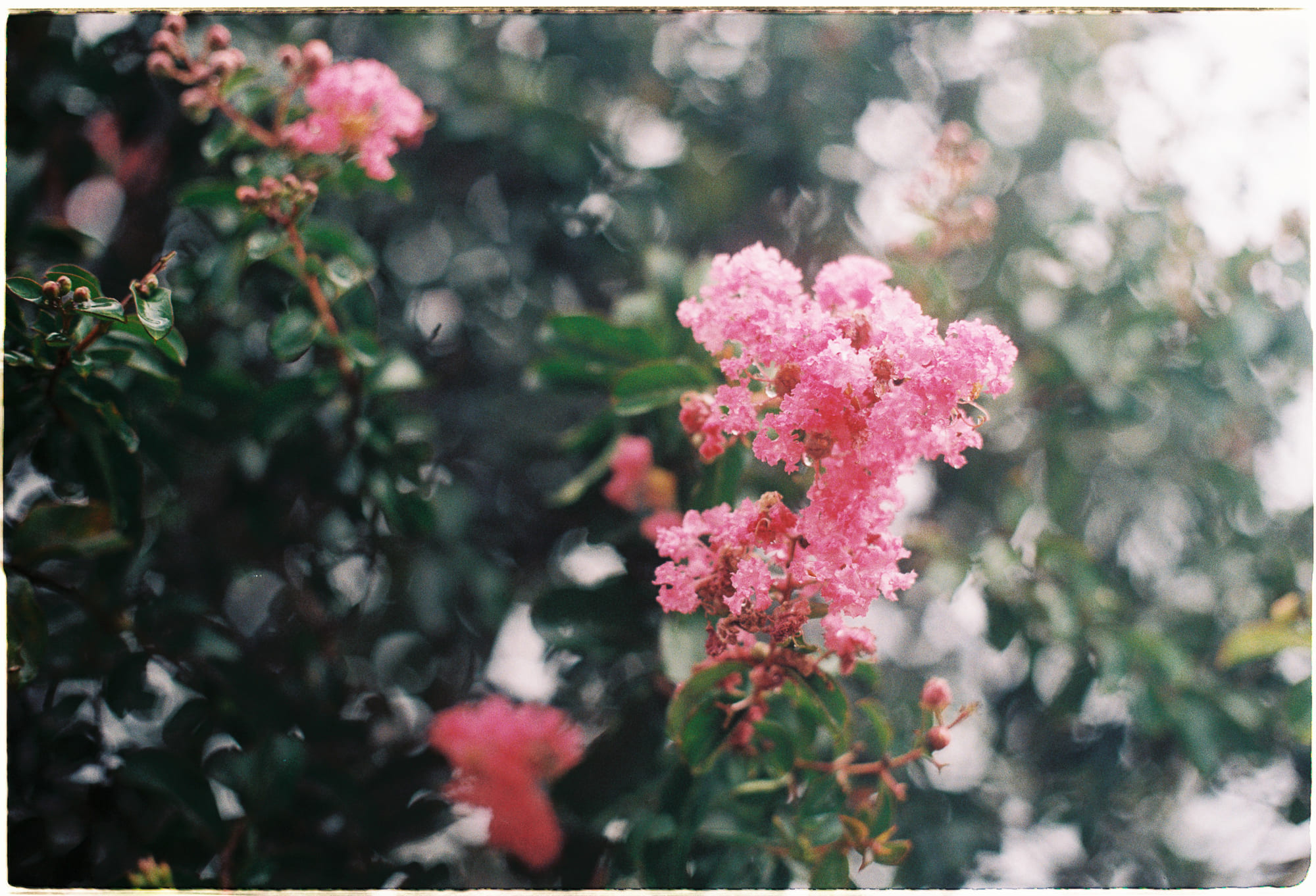 Trung tâm phát triển văn hóa đọc Nhà văn