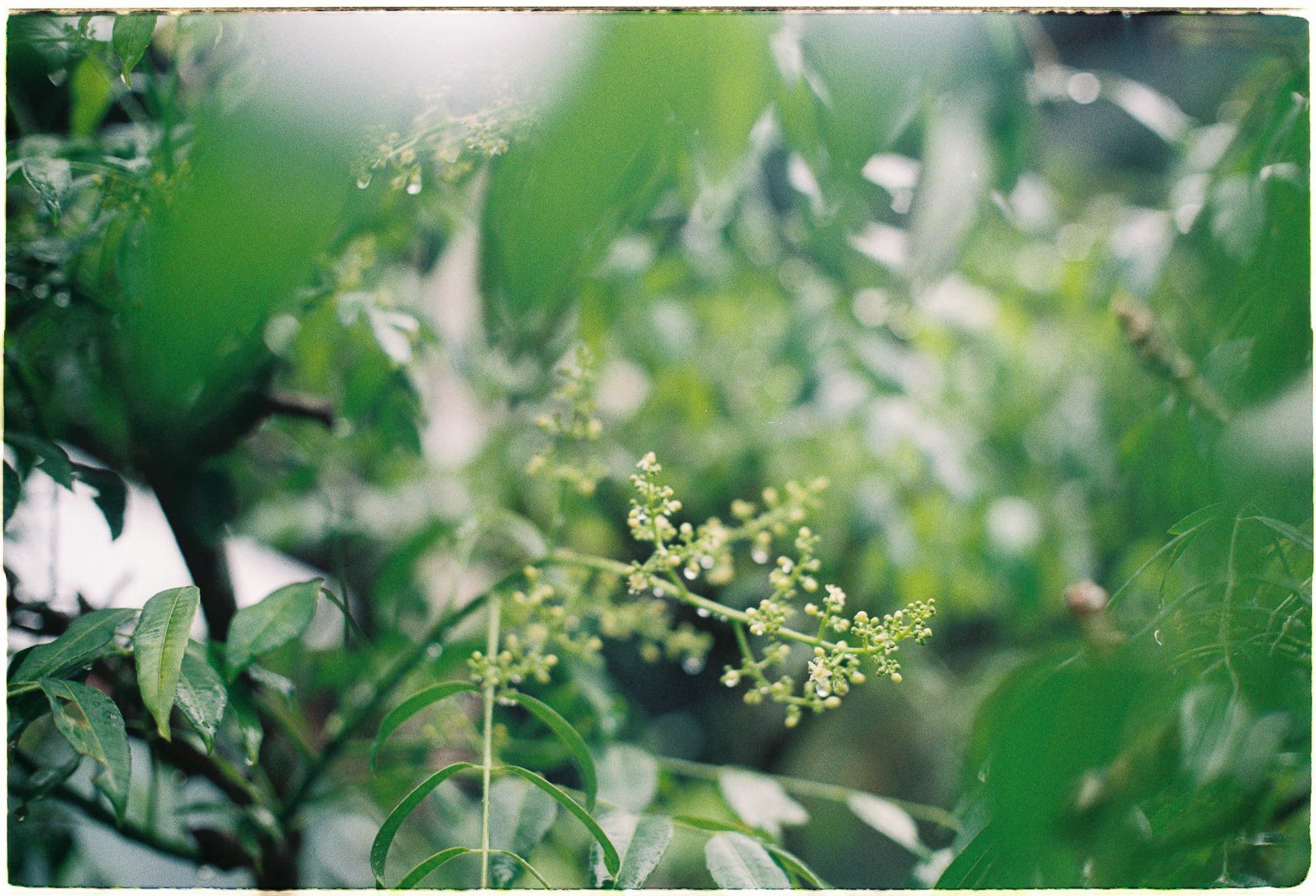 16 câu chuyện định hình vật lý thiên văn 2024