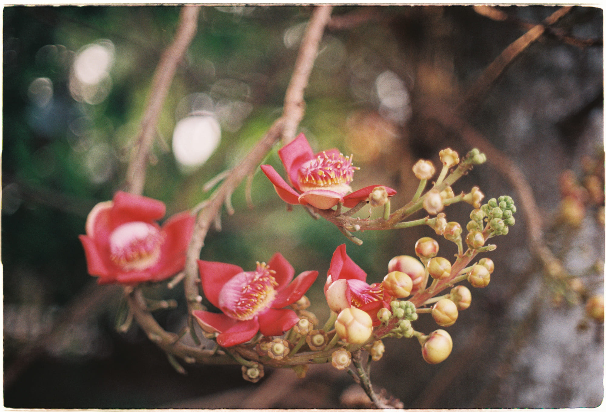 Sự sống bắt đầu như thế nào?