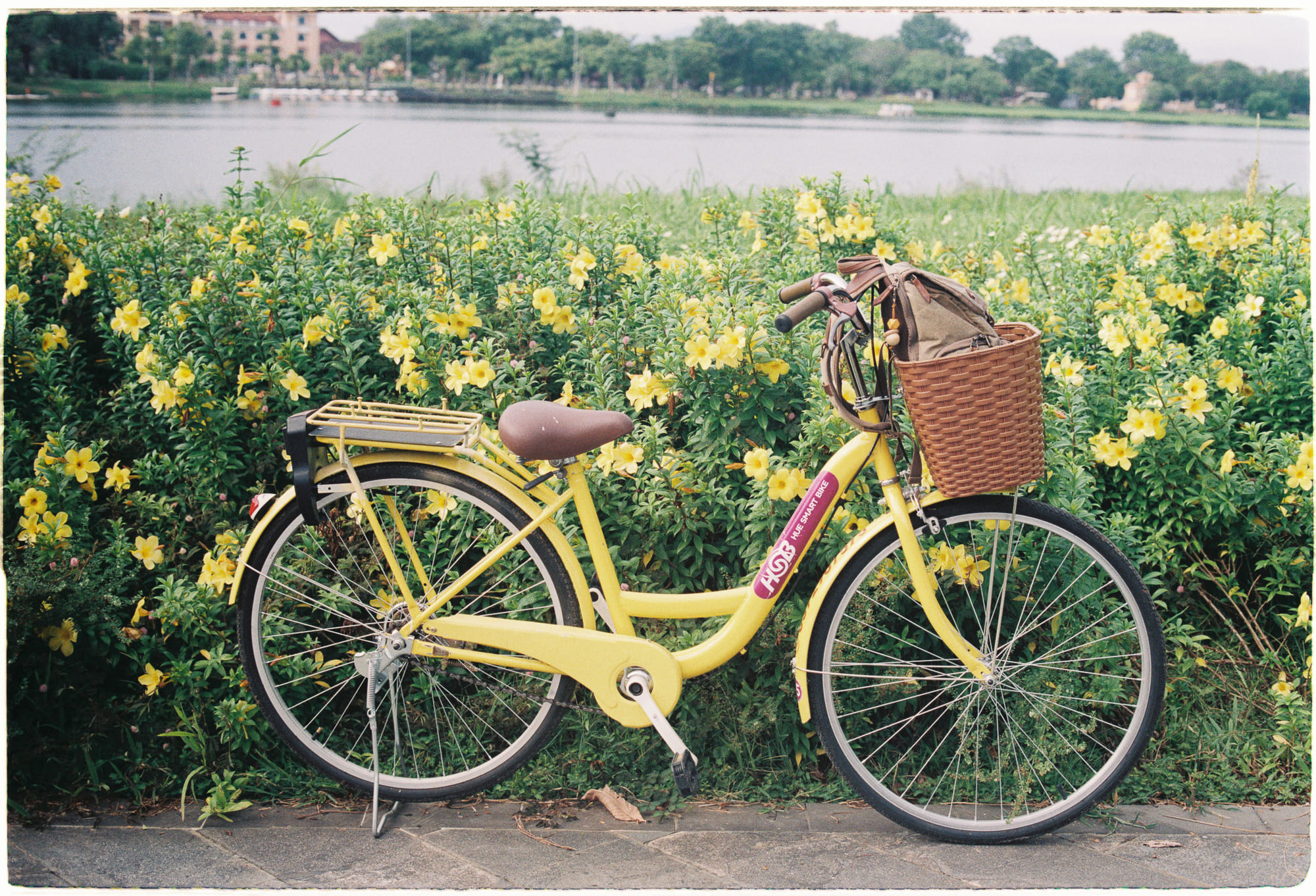 Học tập suốt đời dẫn đến thành công 569 – phat trien ban than, khoa hoc, ky nang, ky nang chuyen mon, thanh cong, tam ly hoc, nhan thuc ban than, cai thien ban than, hoc tap suot doi, ho chieu thanh cong.