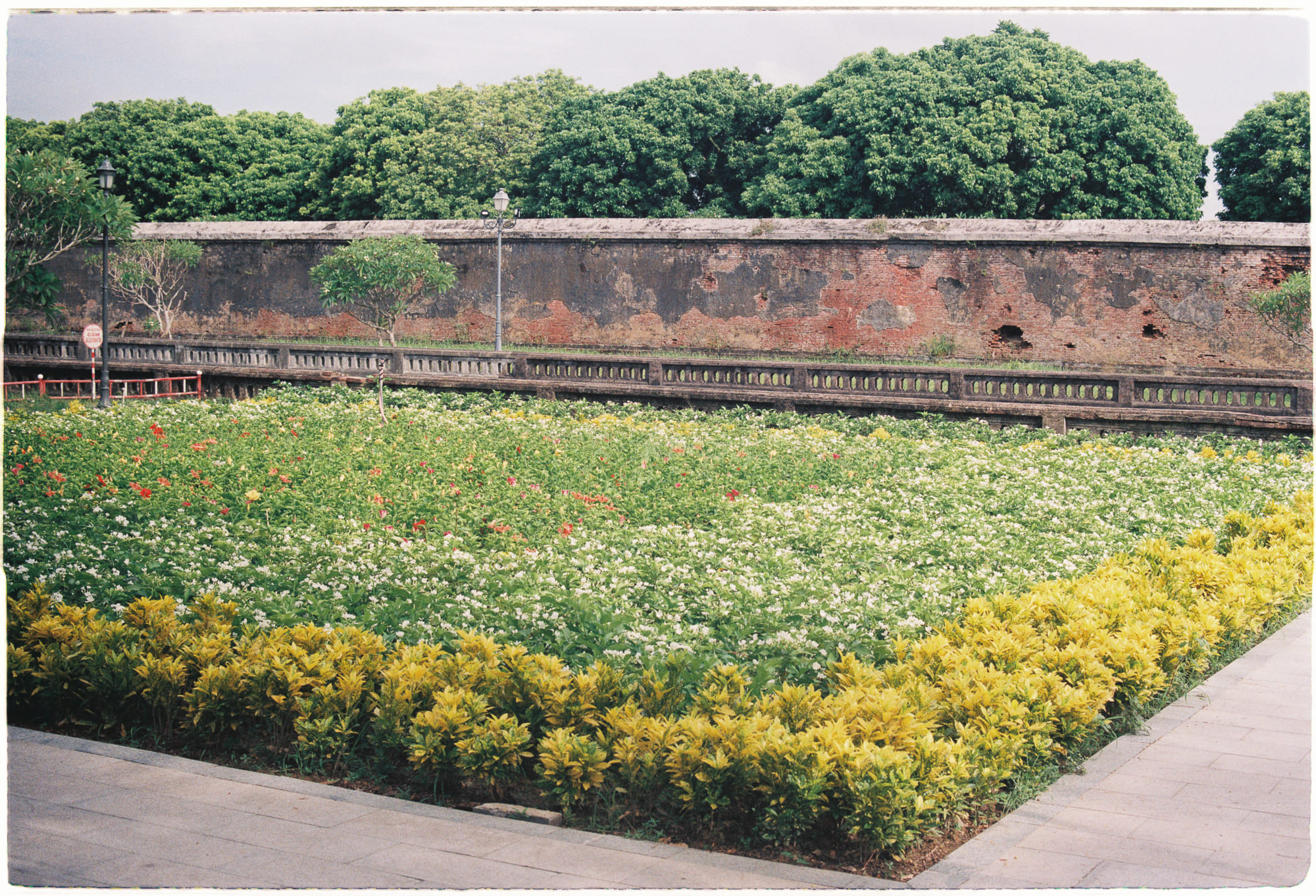 Khủng long bị định đoạt trước thiên thạch