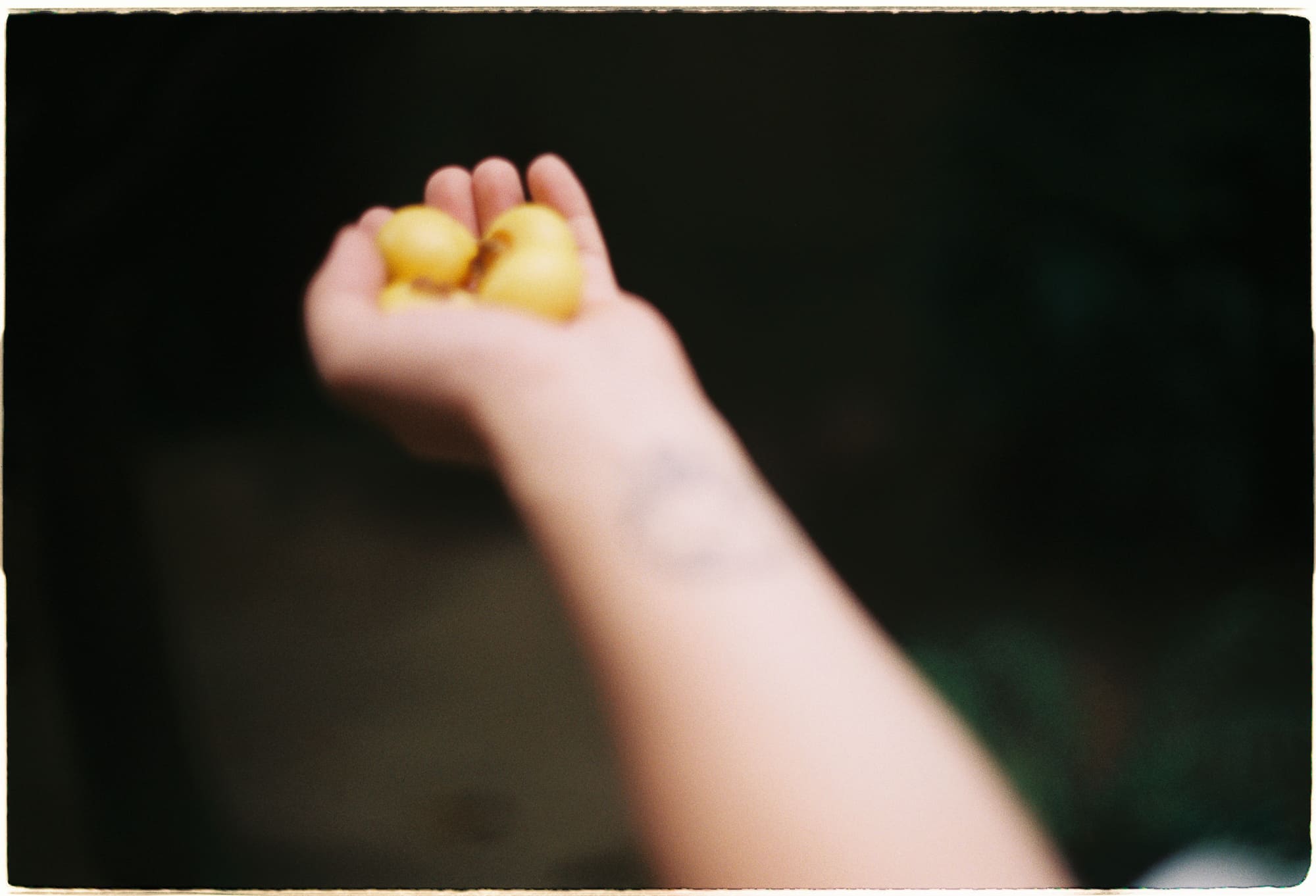 Lịch sử, động cơ và cuộc chiến chống chủ nghĩa xét lại Do Thái cực đoan